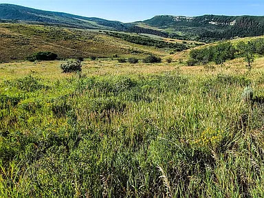 The Painted Bluff Camp