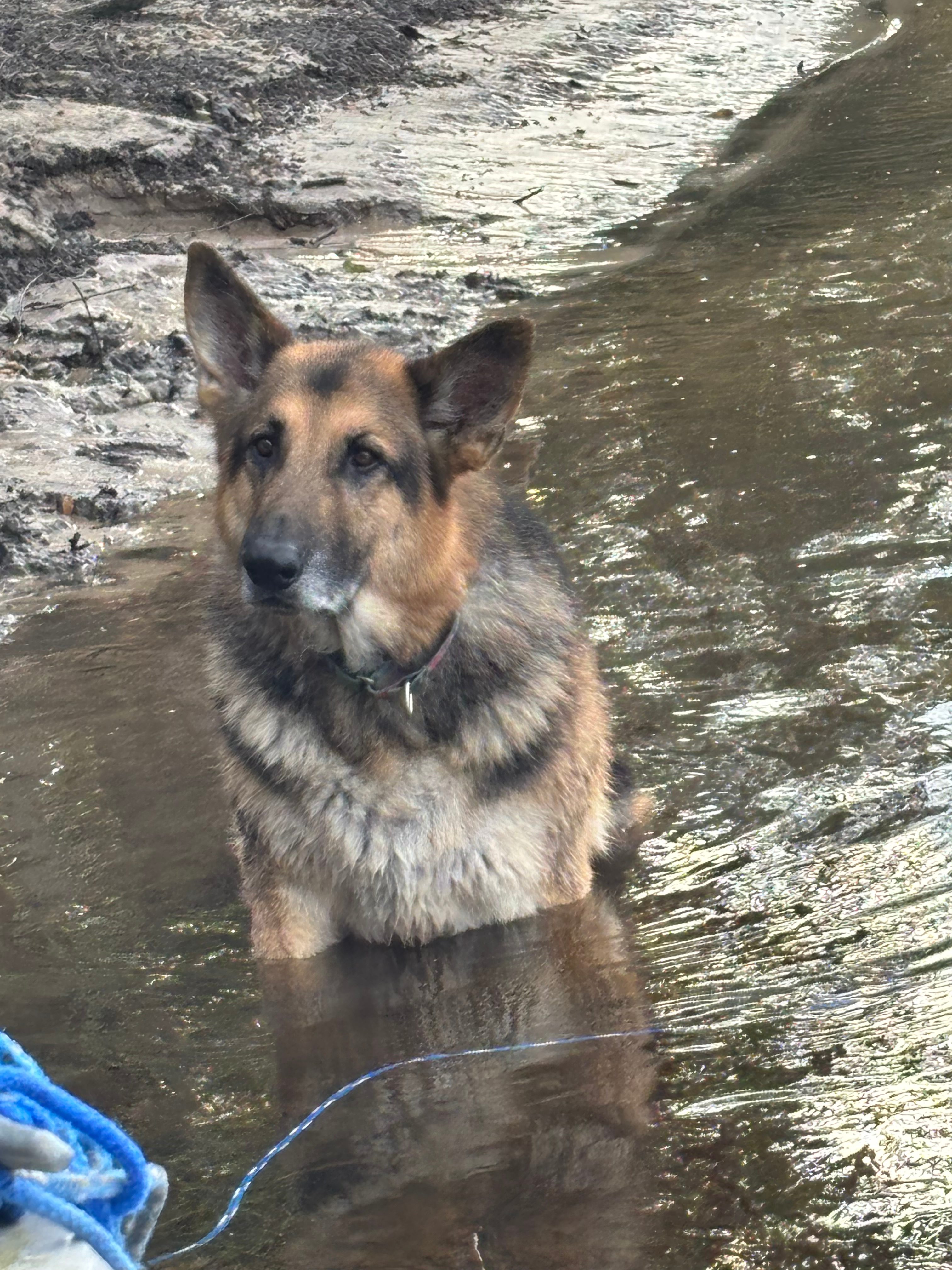 The Hatch Bend Hideaway RV Place