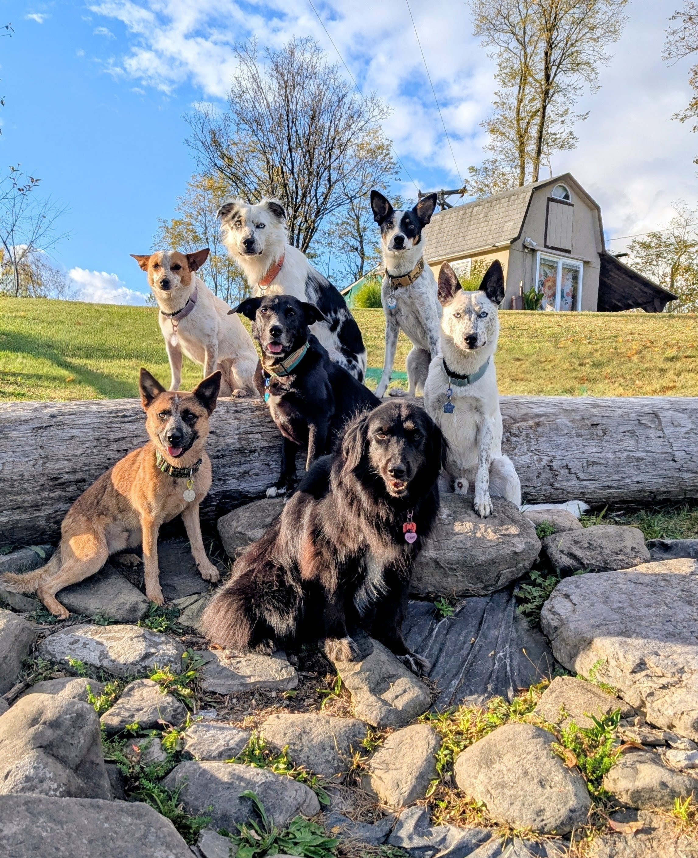 Tryals Park Camp & Obstacle Course