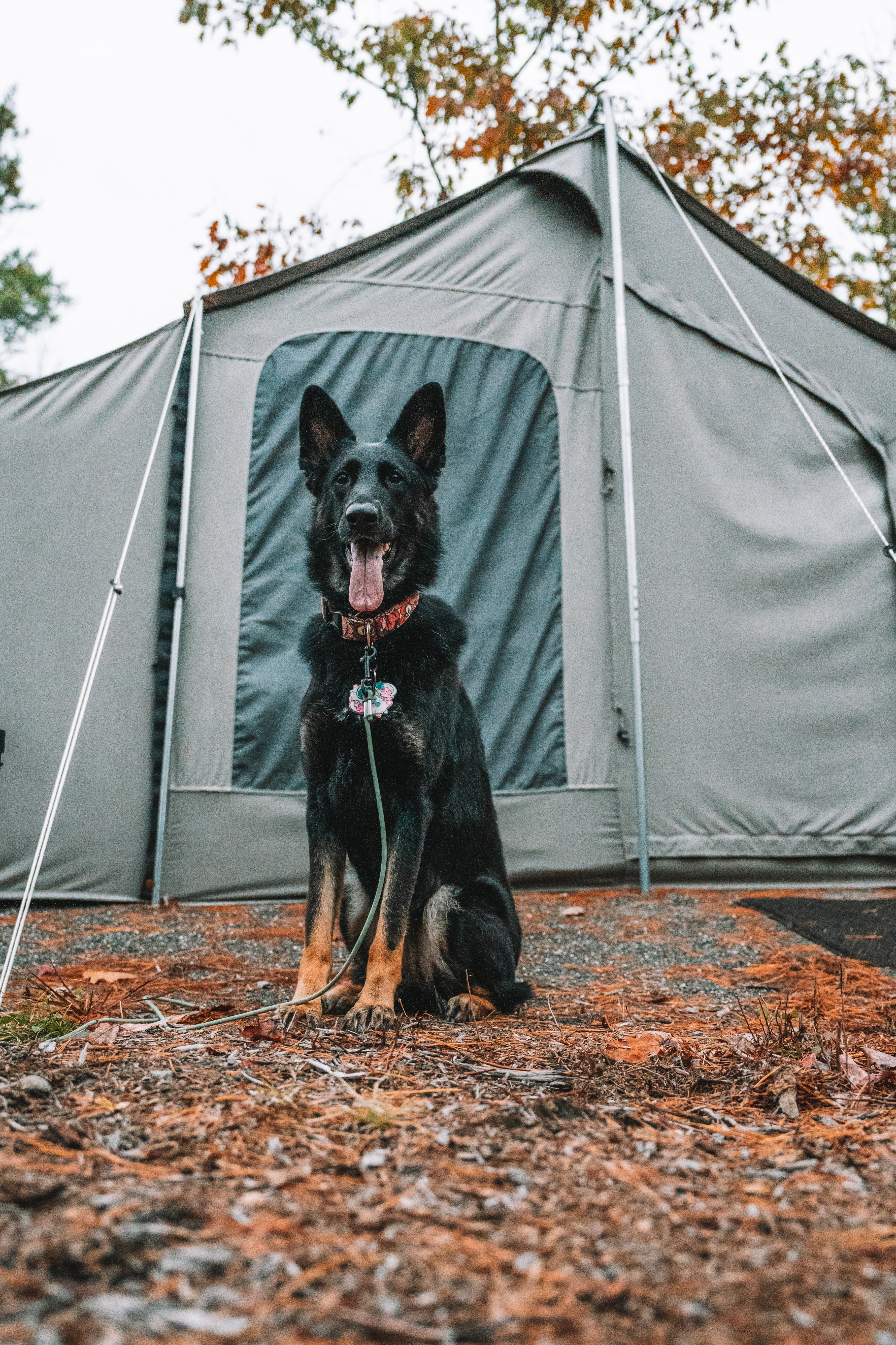 Private site close to  attractions