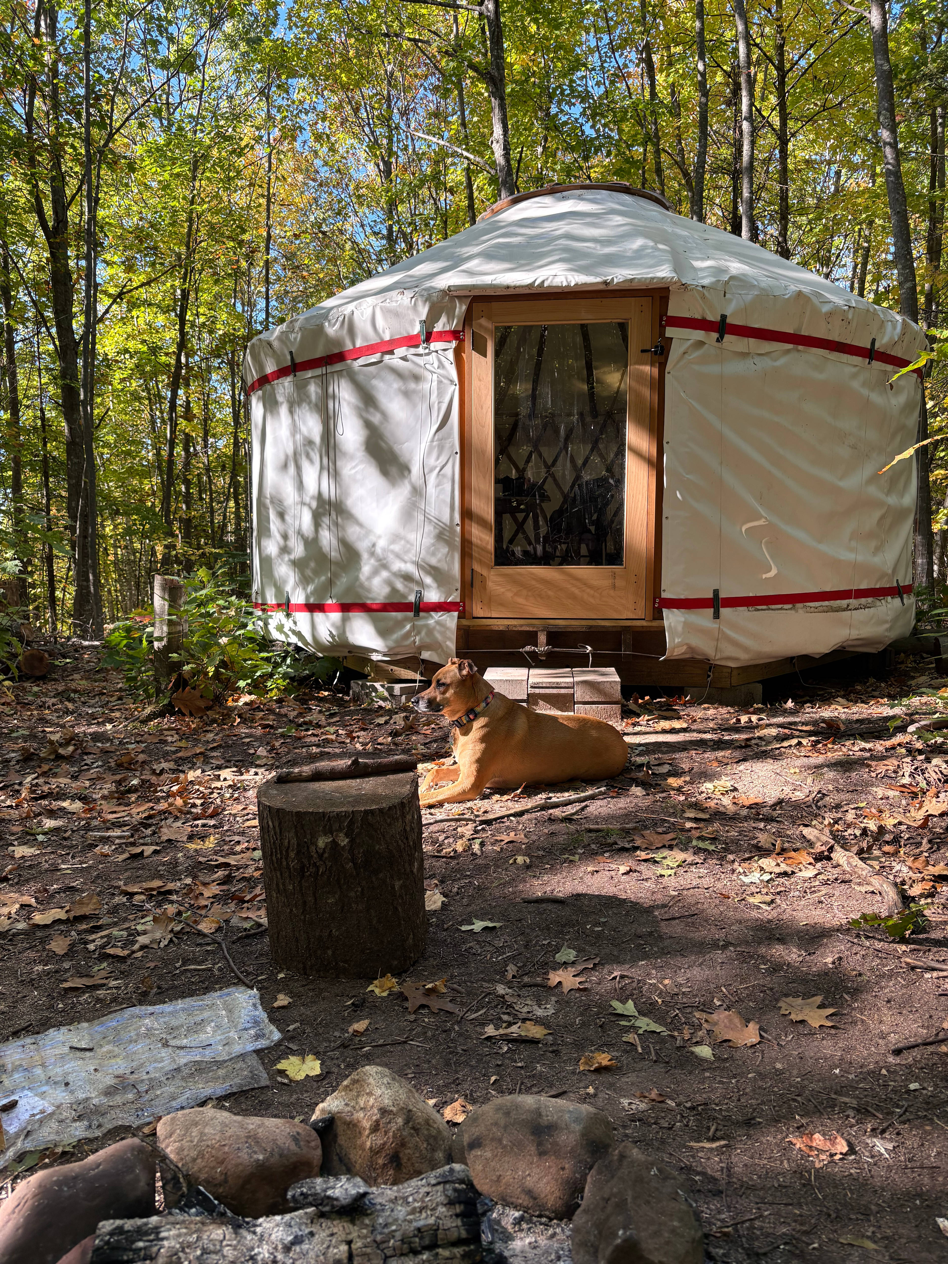 Off-Grid Secluded Forest Yurts