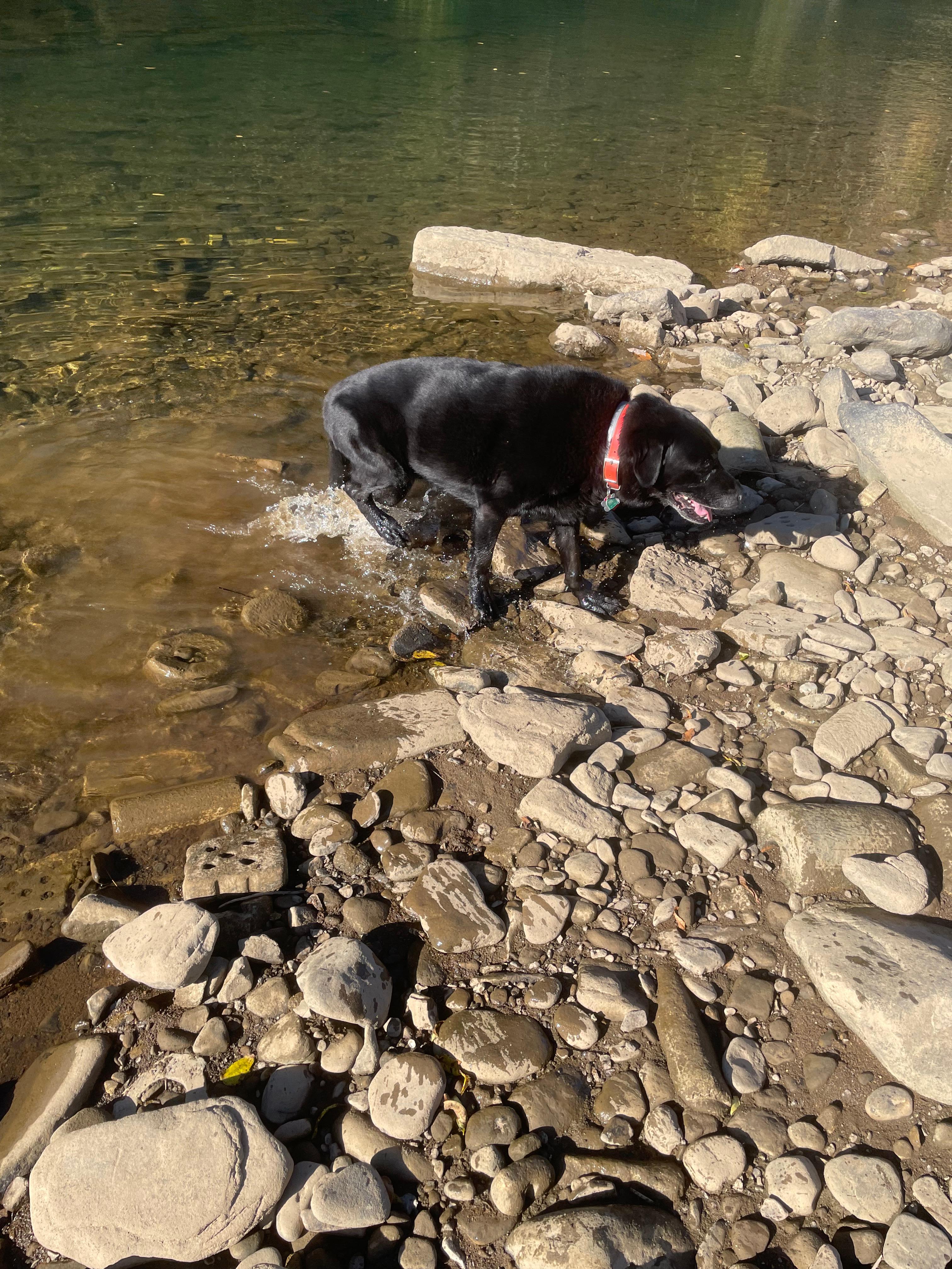 Water and trail side camping