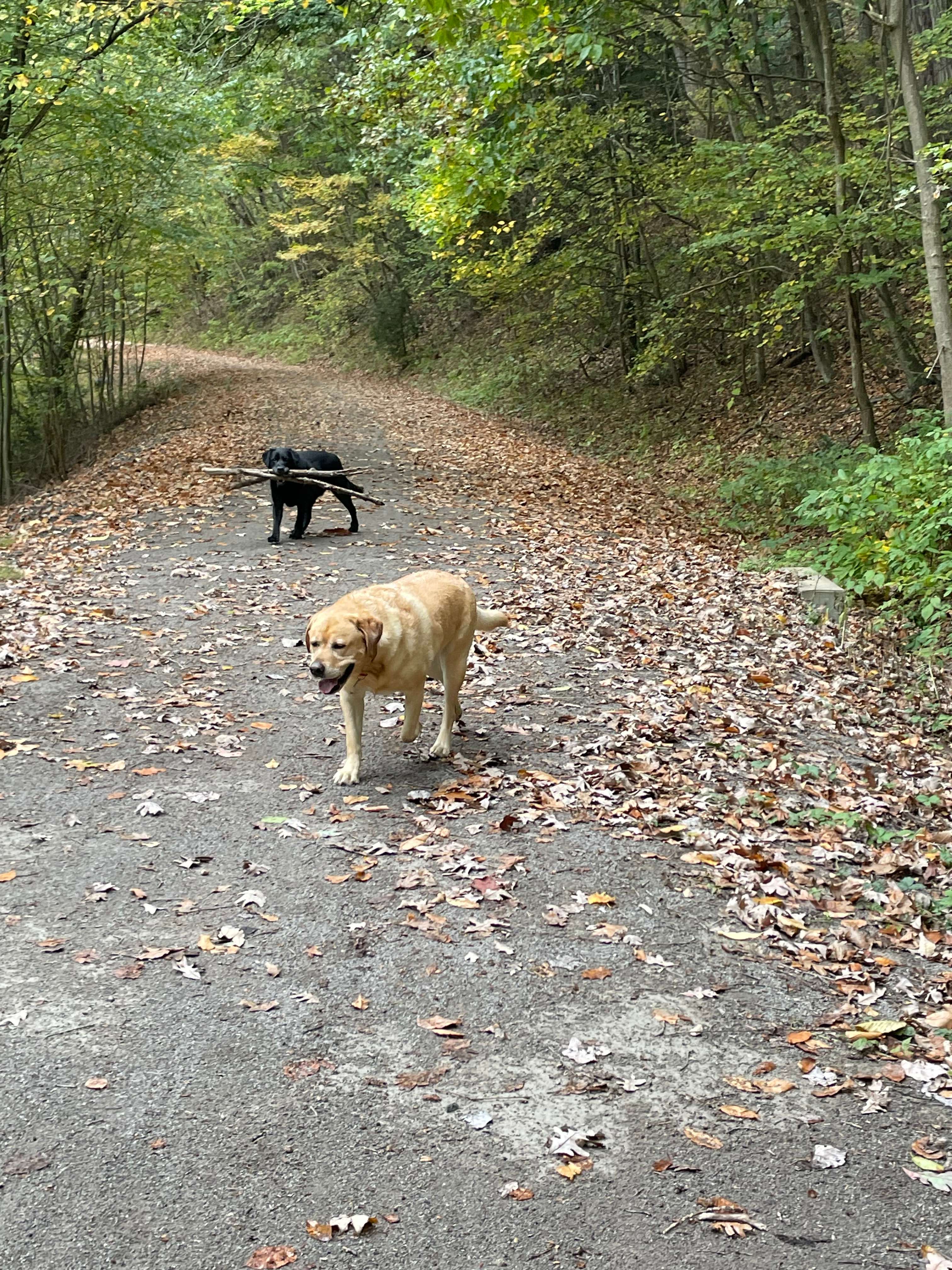 Water and trail side camping