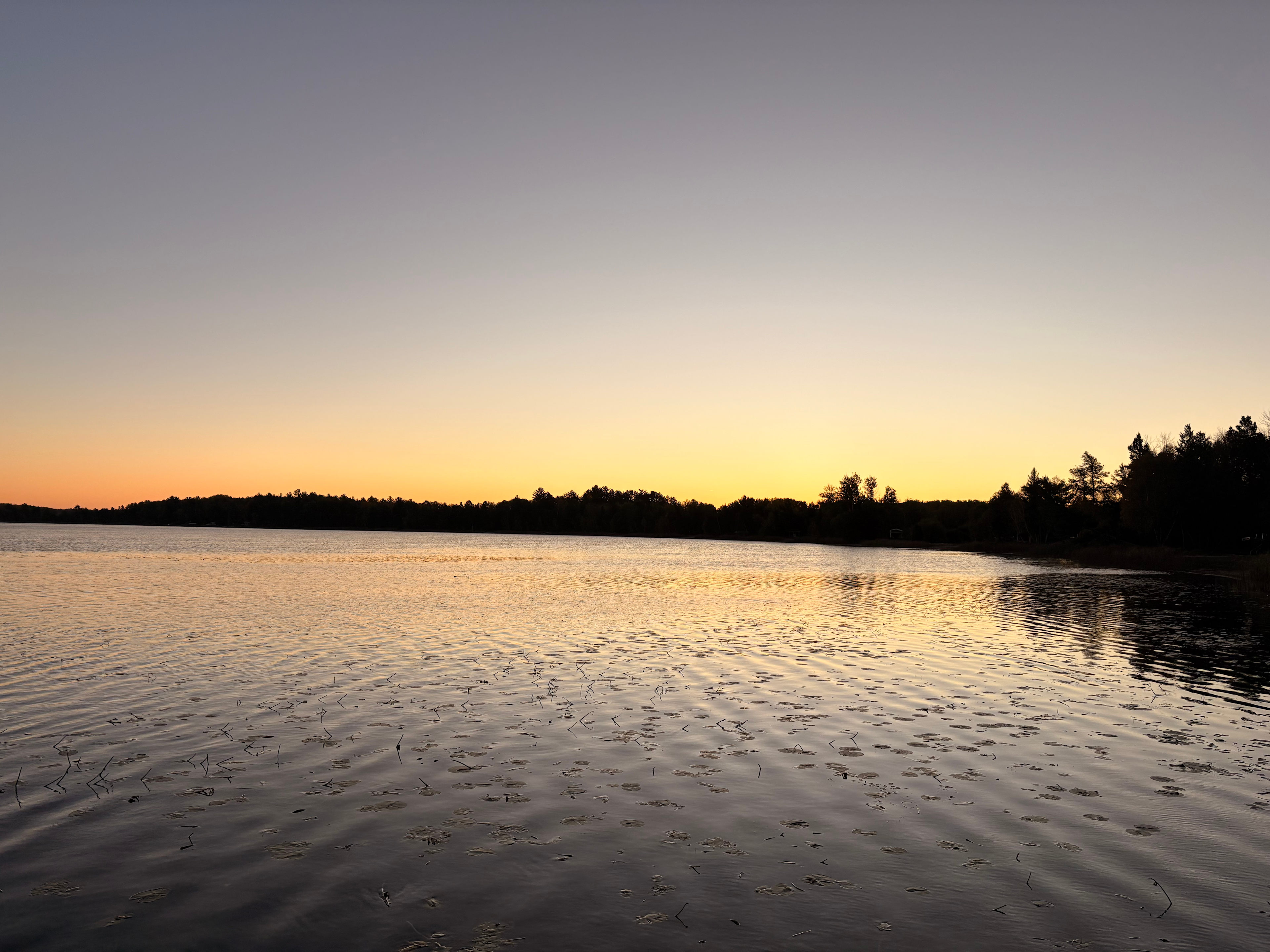 Goldie The Caboose - Nevis MN