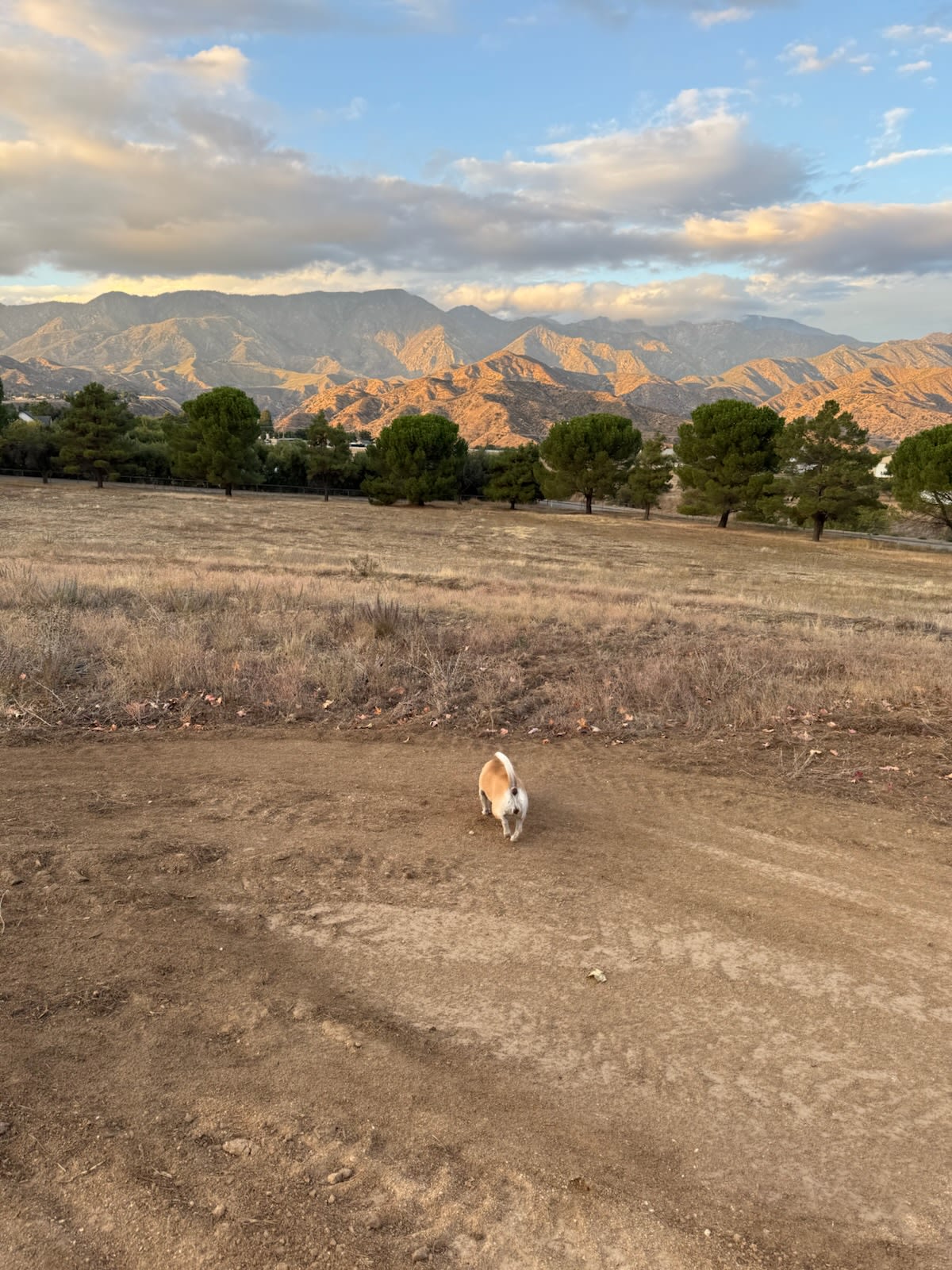 Gilman Ranch, Sanctuary & Retreat