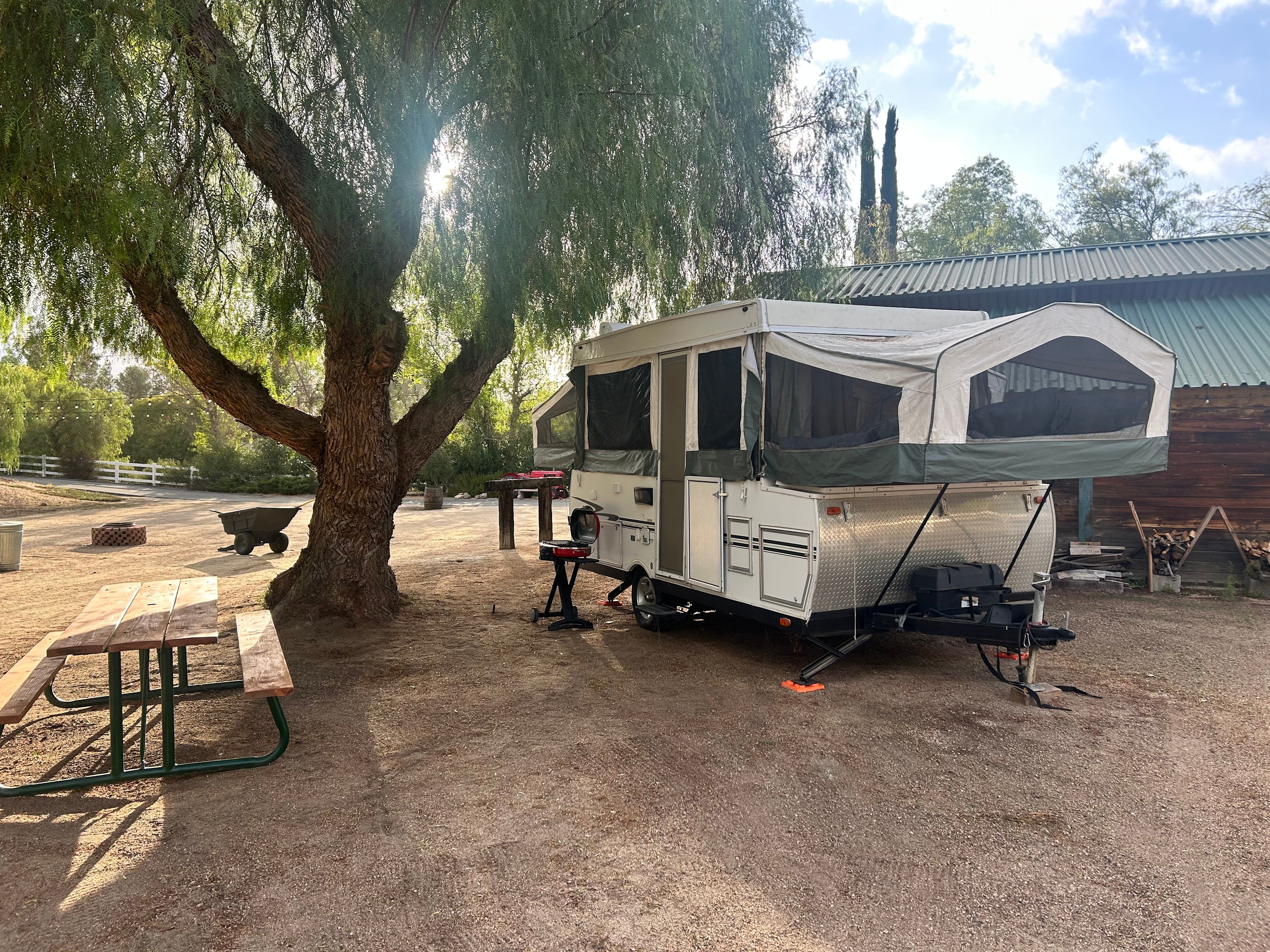 Wine Country Olive & Vine Acres