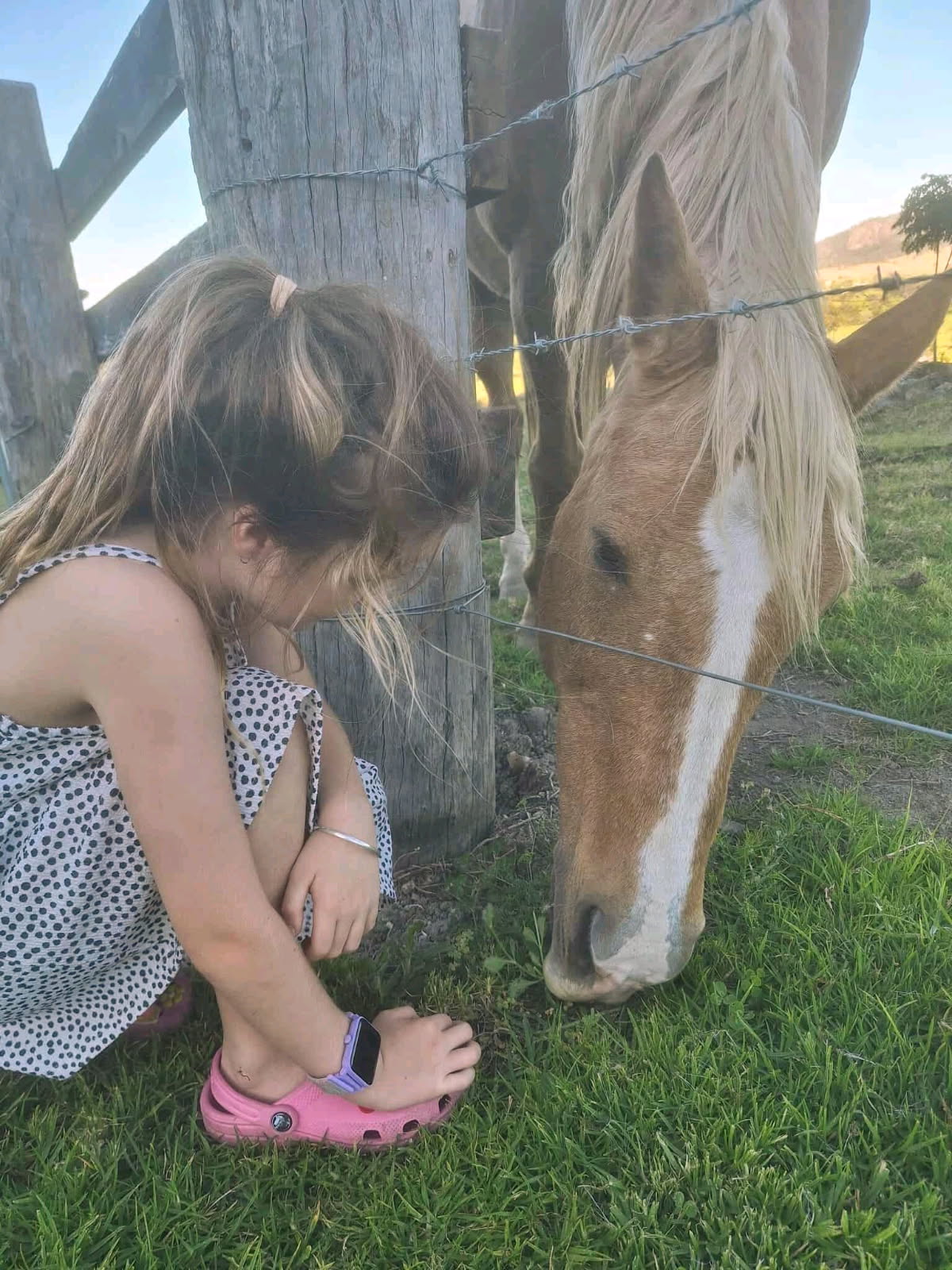 Gloucester Old Man's Rest Campsite
