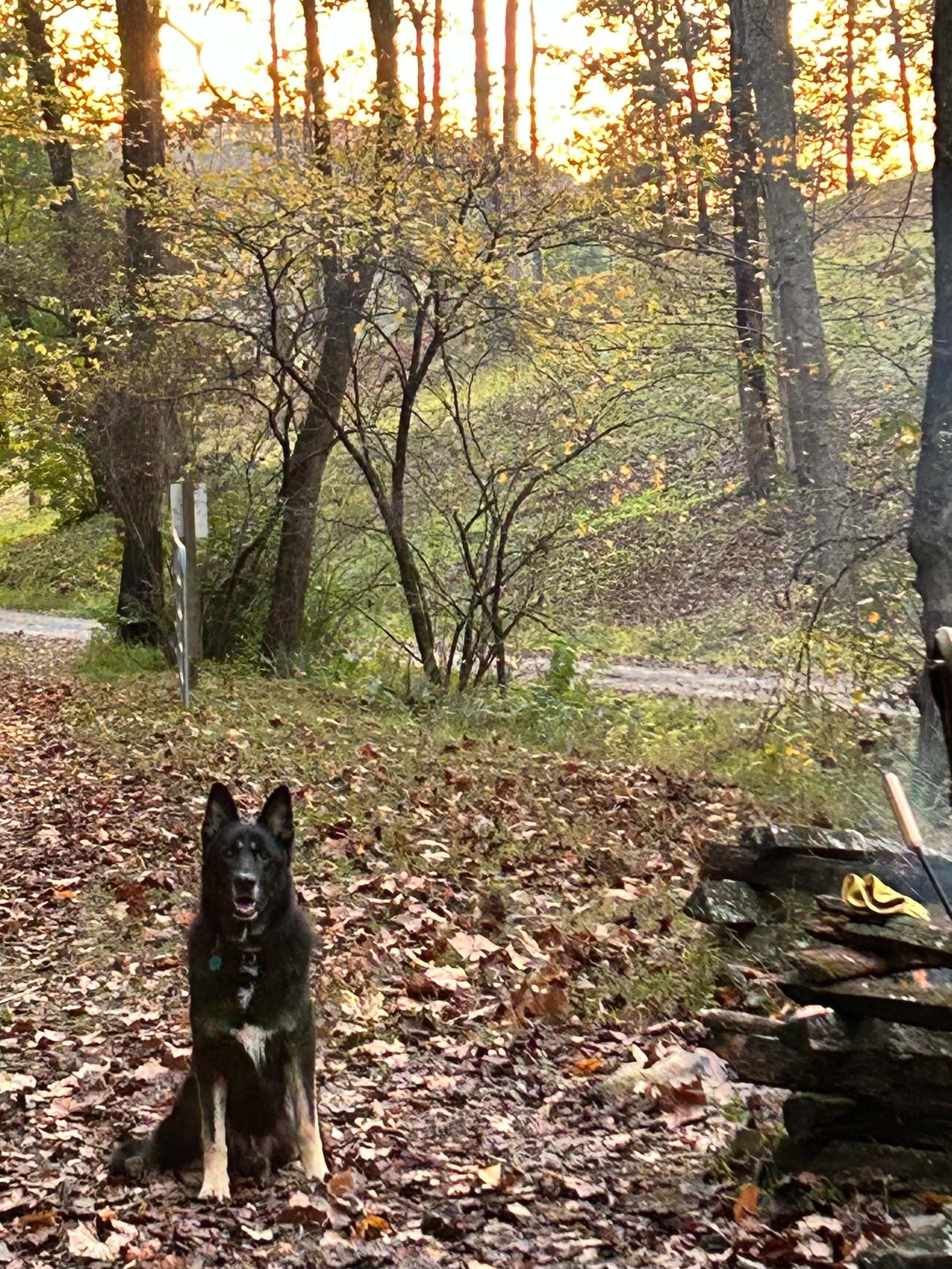 RV w hookups 35 acres hike & fish