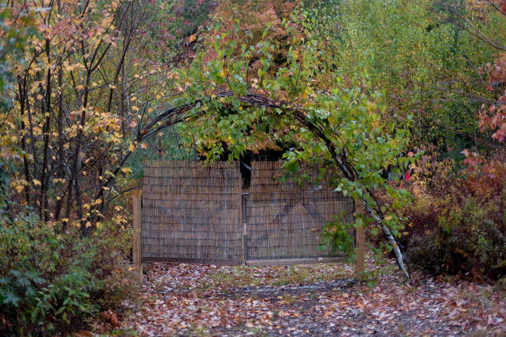The entrance to the site, part to the right of this gate.
