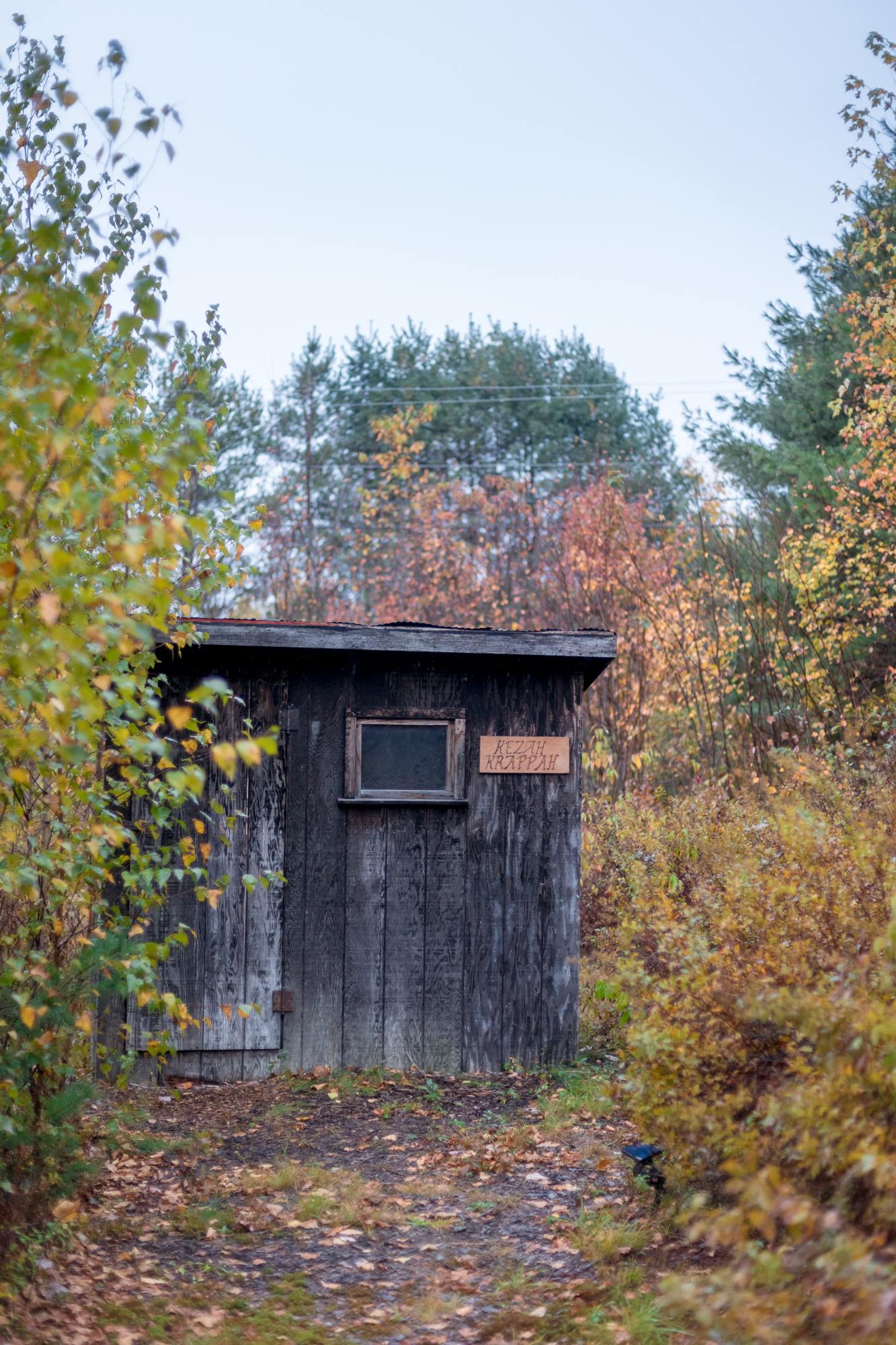Wonderful compost toilet set up!