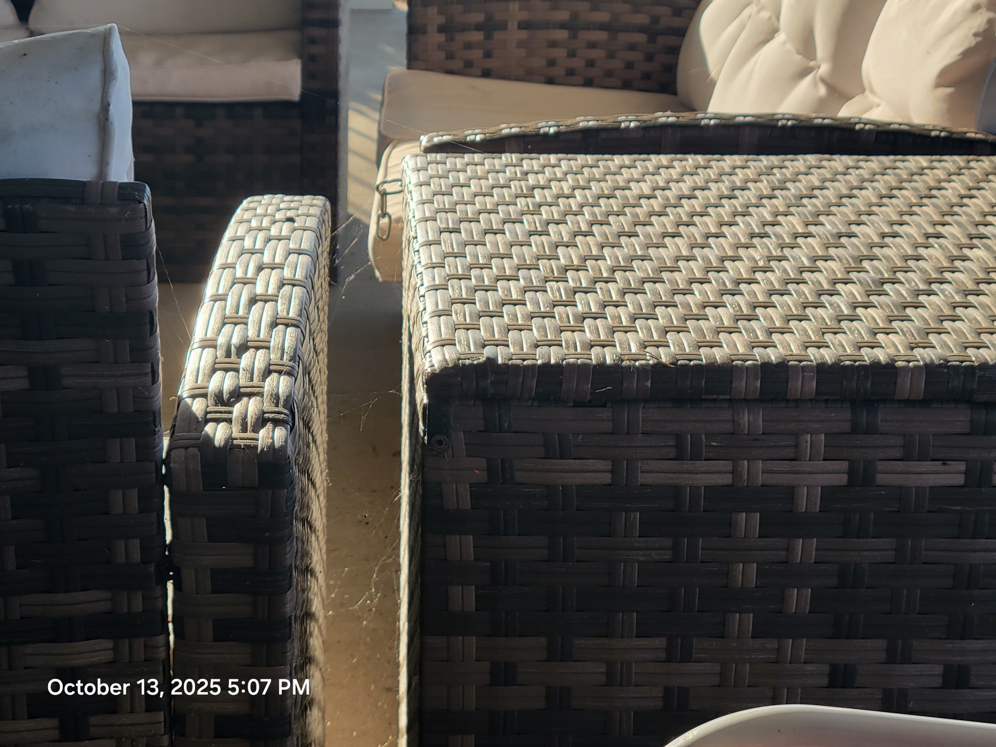 Spider Webs - Management should put this on a list for scheduled maintenance