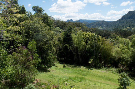 Ananda Rainforest Retreat