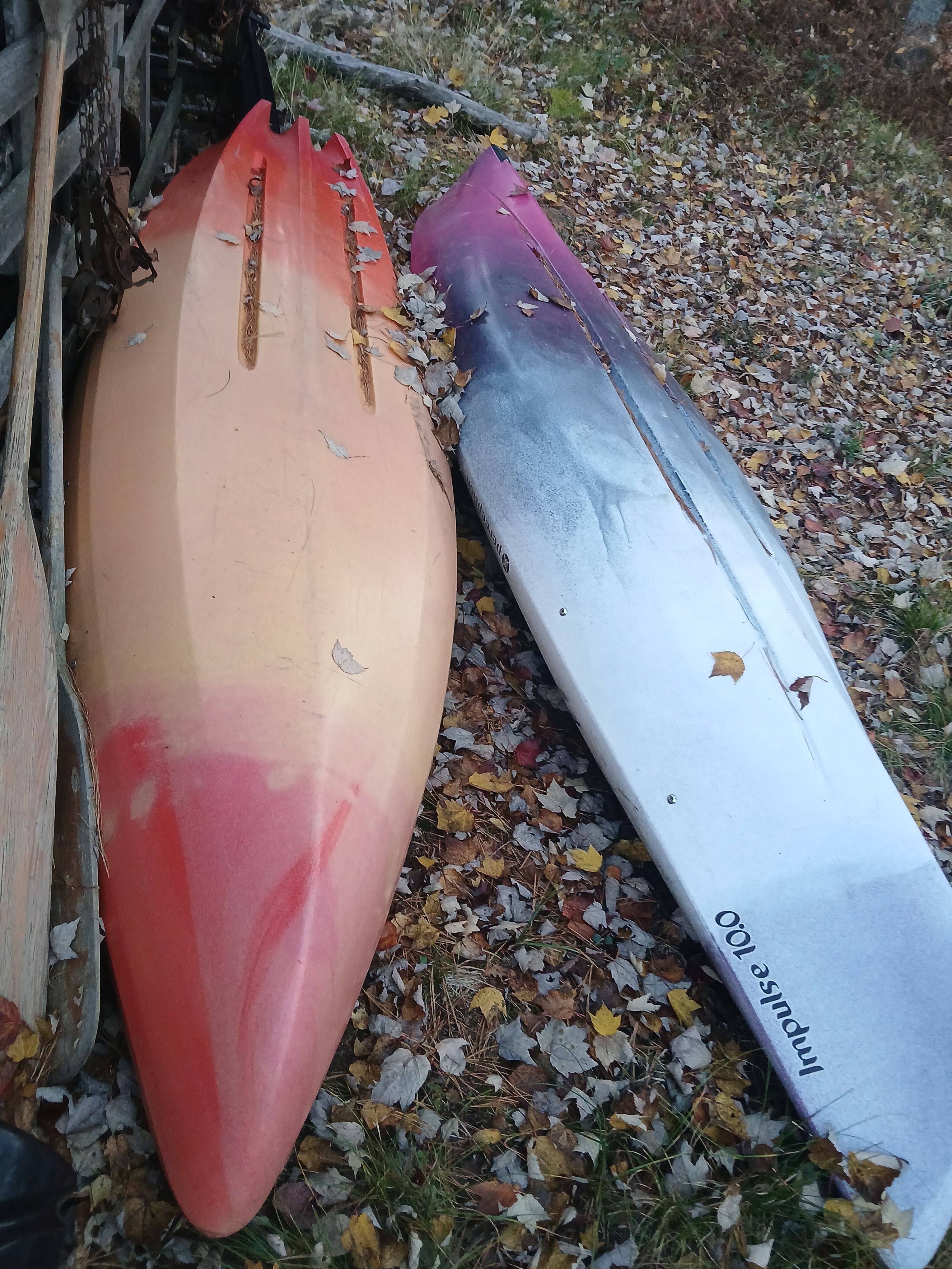 Muddy Maple Homestead