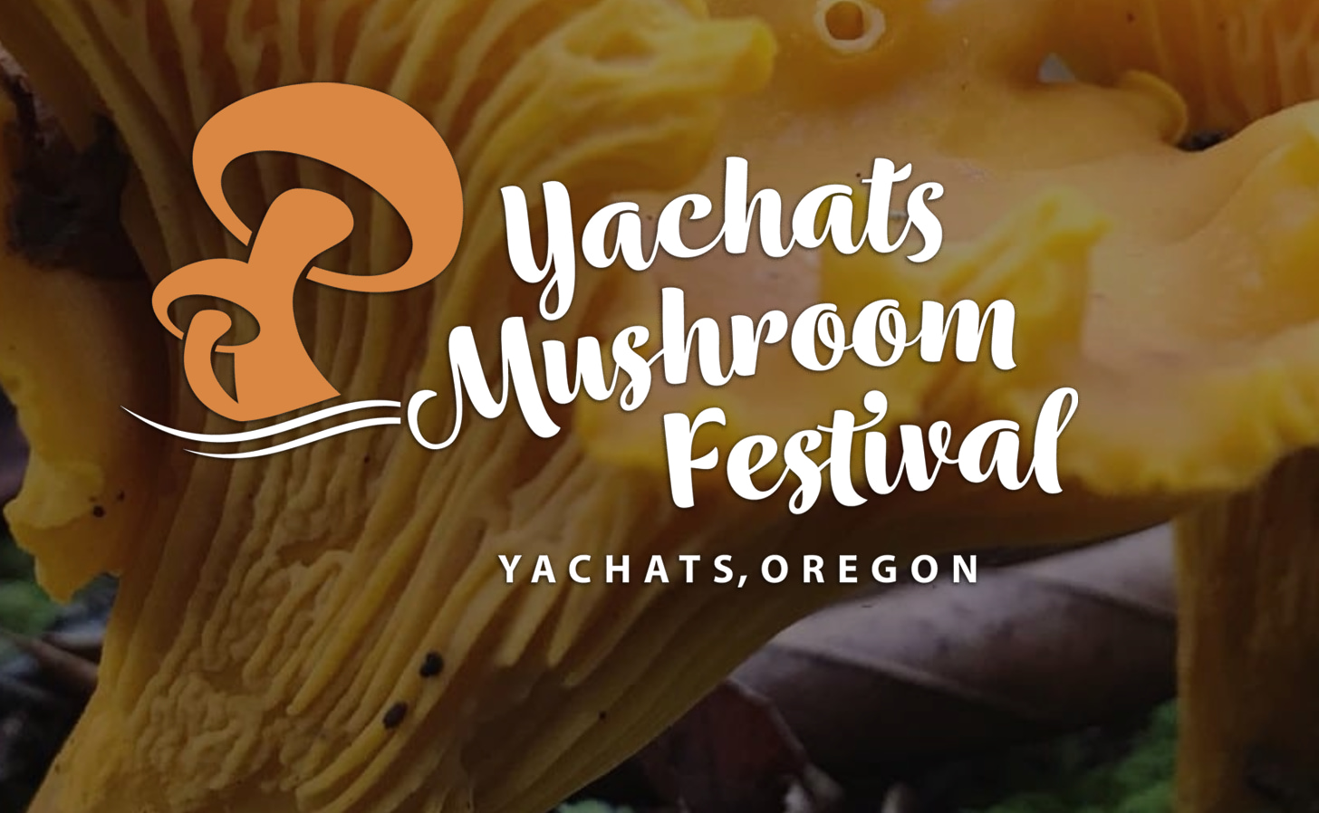 The Annual Yachats Mushroom Festival is a great time. The village of Yachats, Oregon is only 7 miles from our Hipcamp. Every October - come join us!