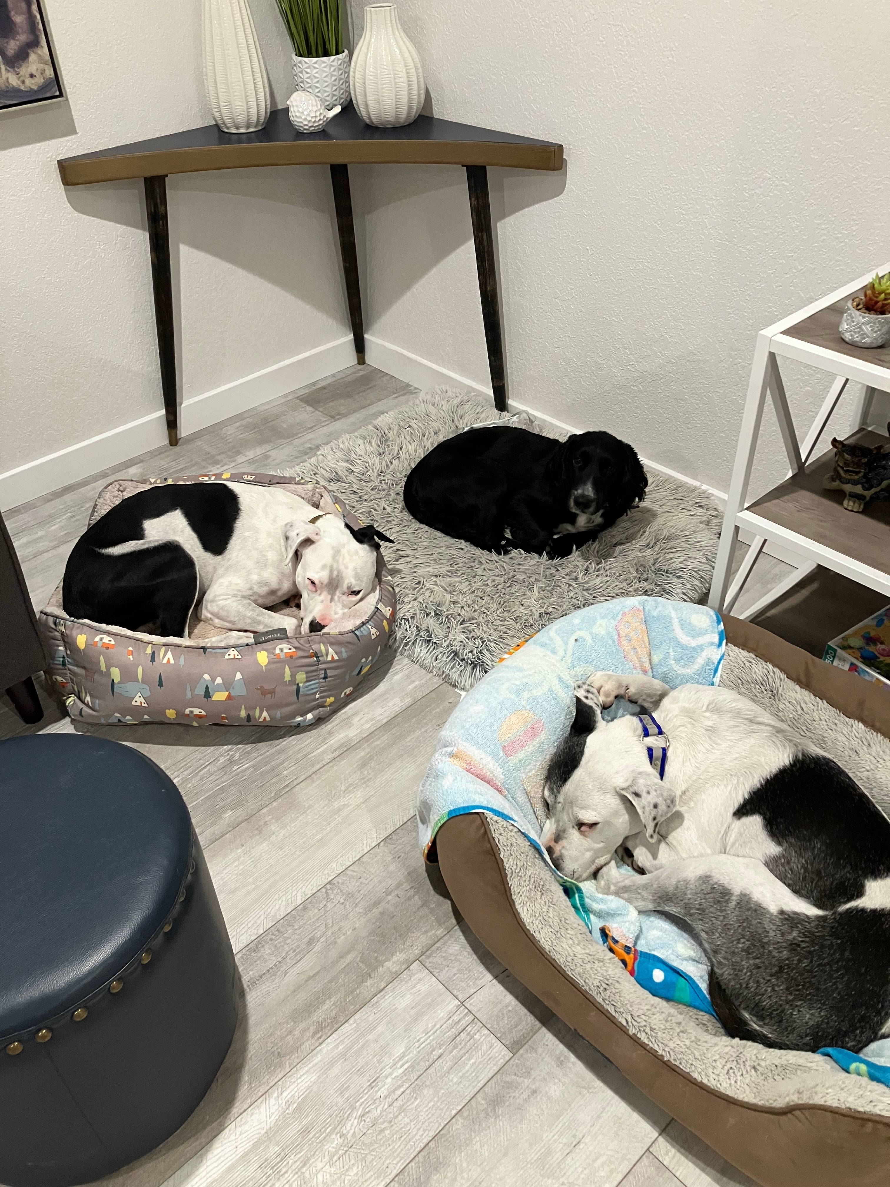 Indialantic House or RV