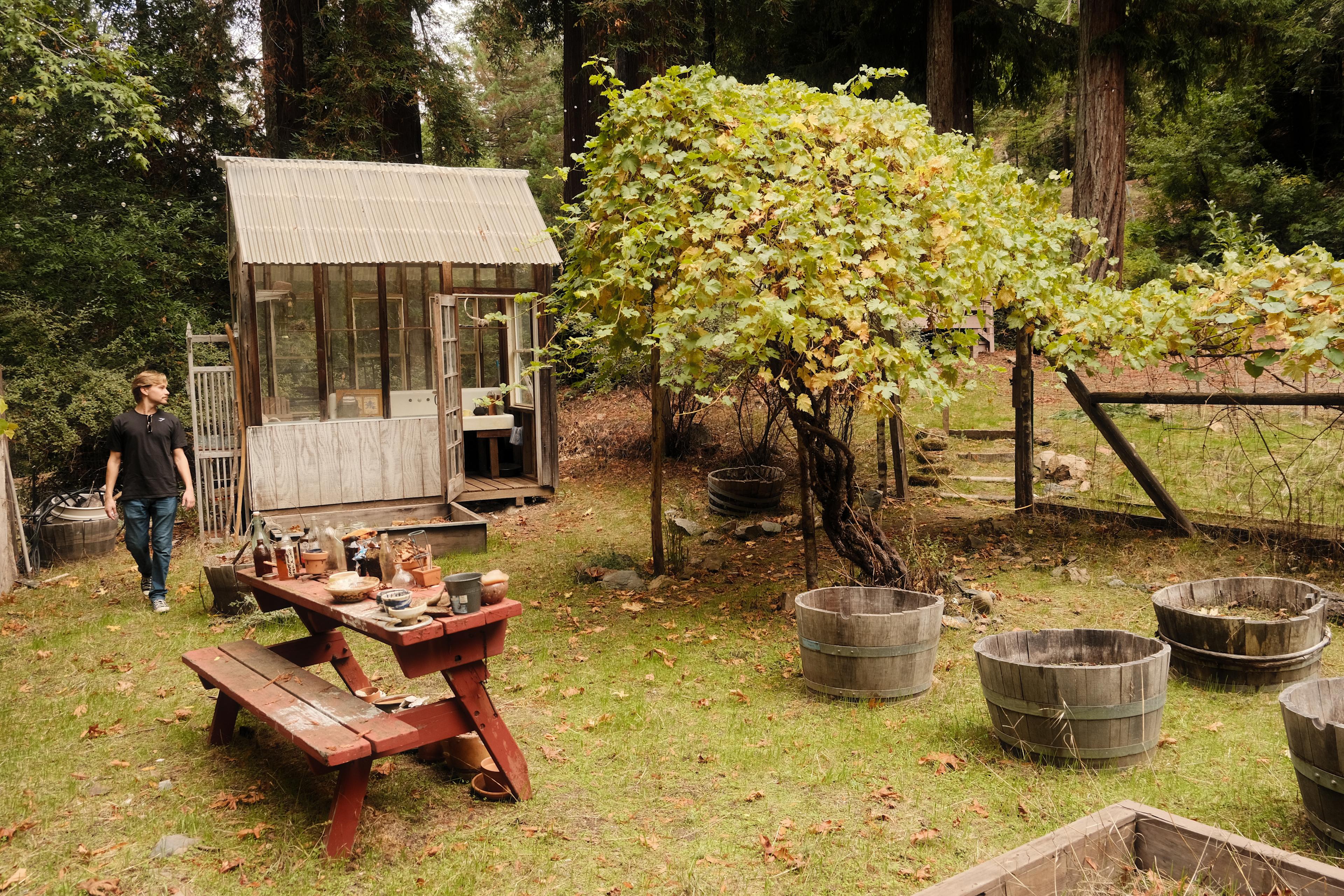 Camp hoppy garden area