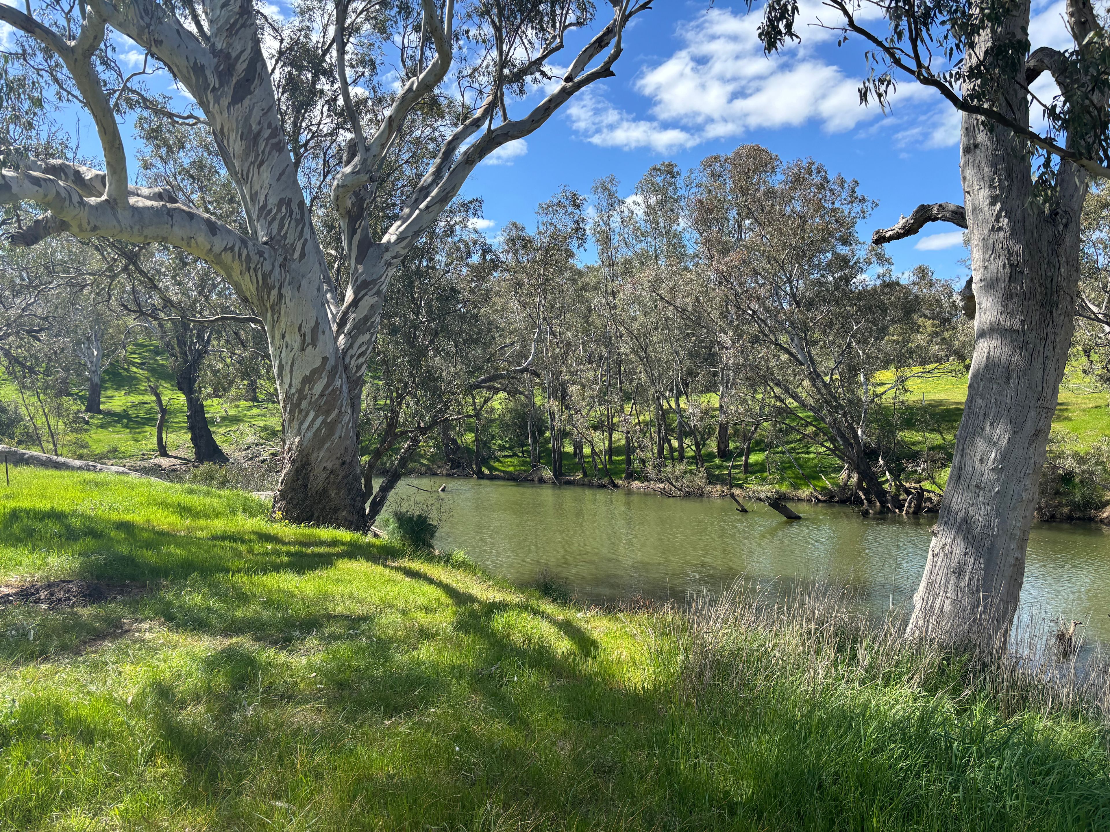 Campaspe Camping