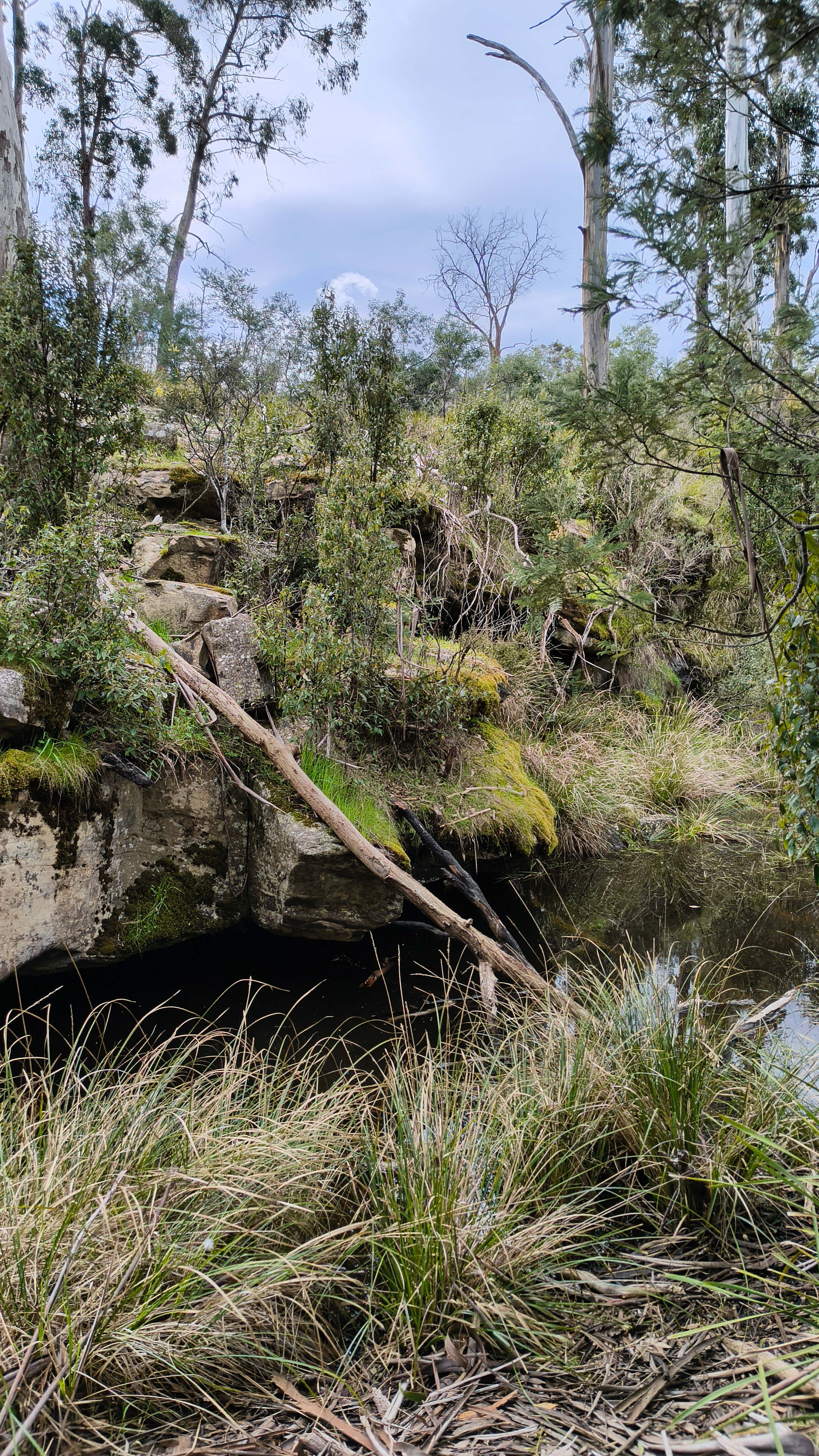 Discover the serene billabong nestled among ancient sandstone cliffs.