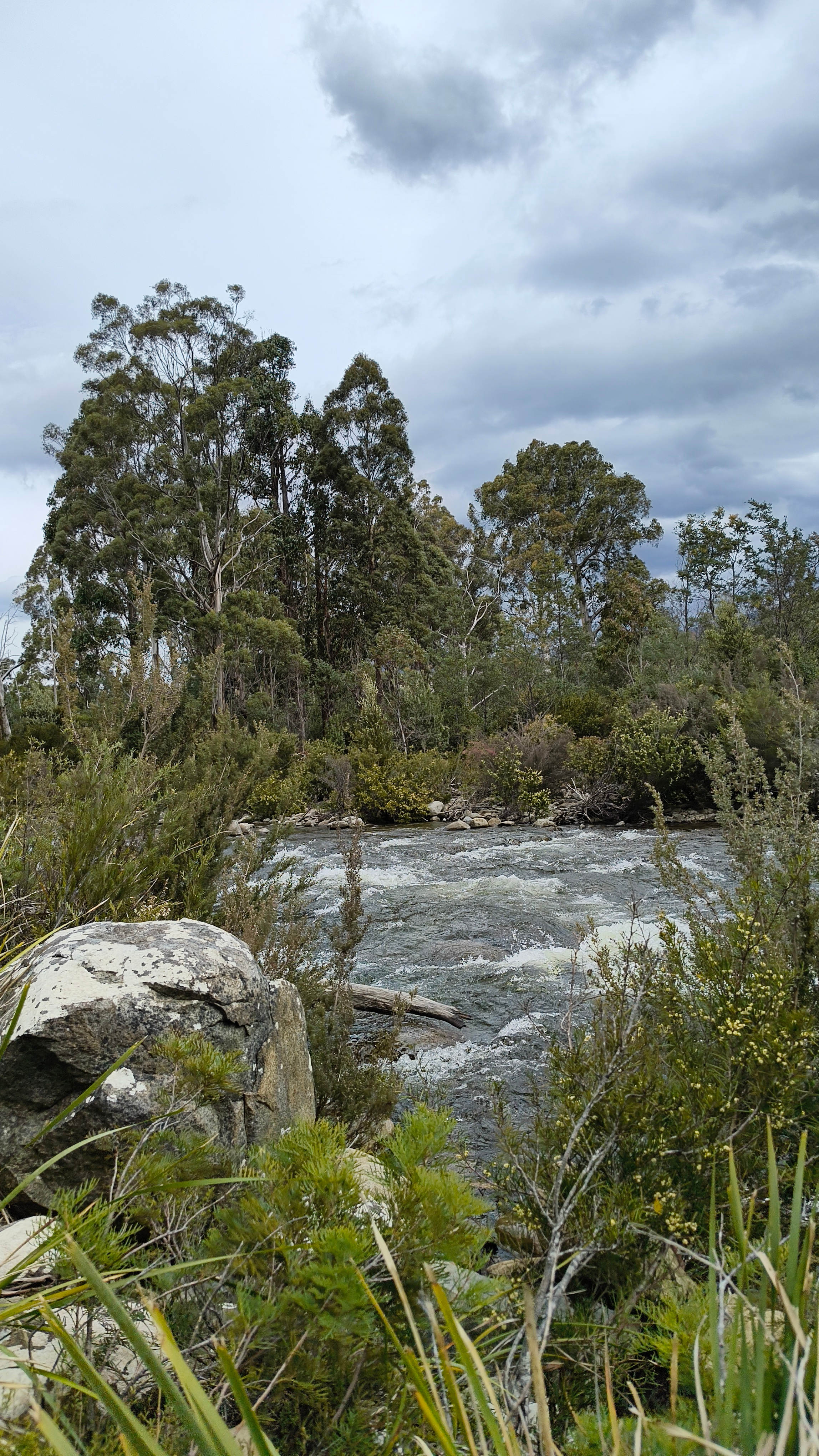 Watch the wild Broad River flow through pristine bushland.