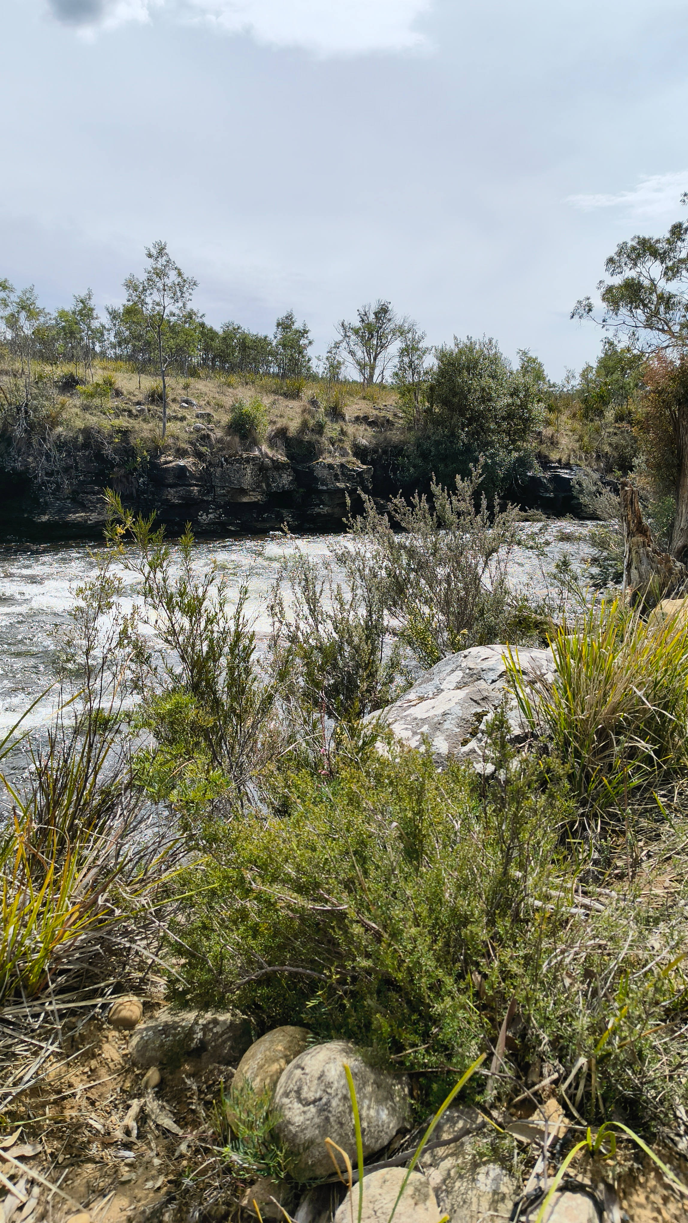 Enjoy undisturbed views of the Broad River flowing through pristine wilderness.