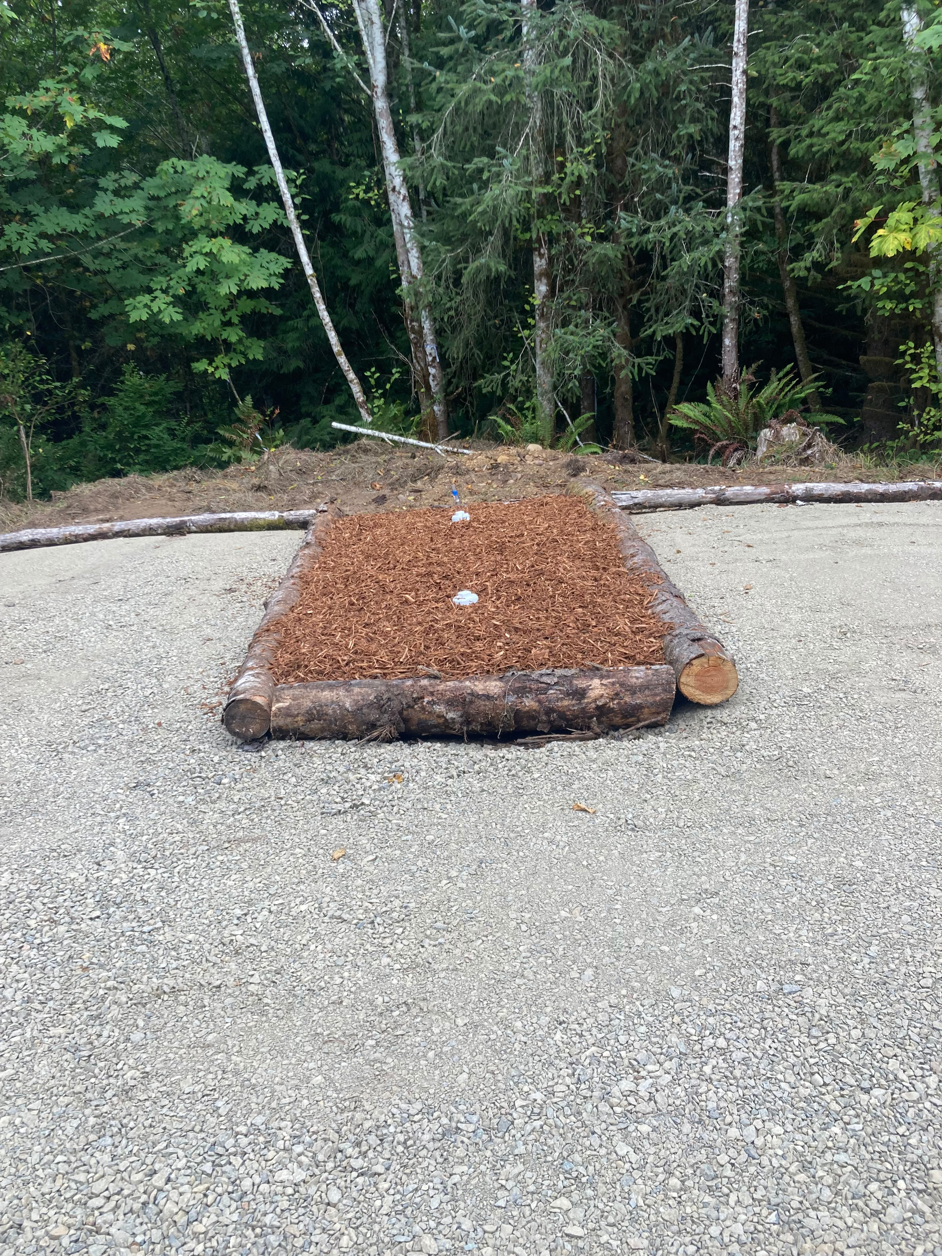 Bright Family Forest