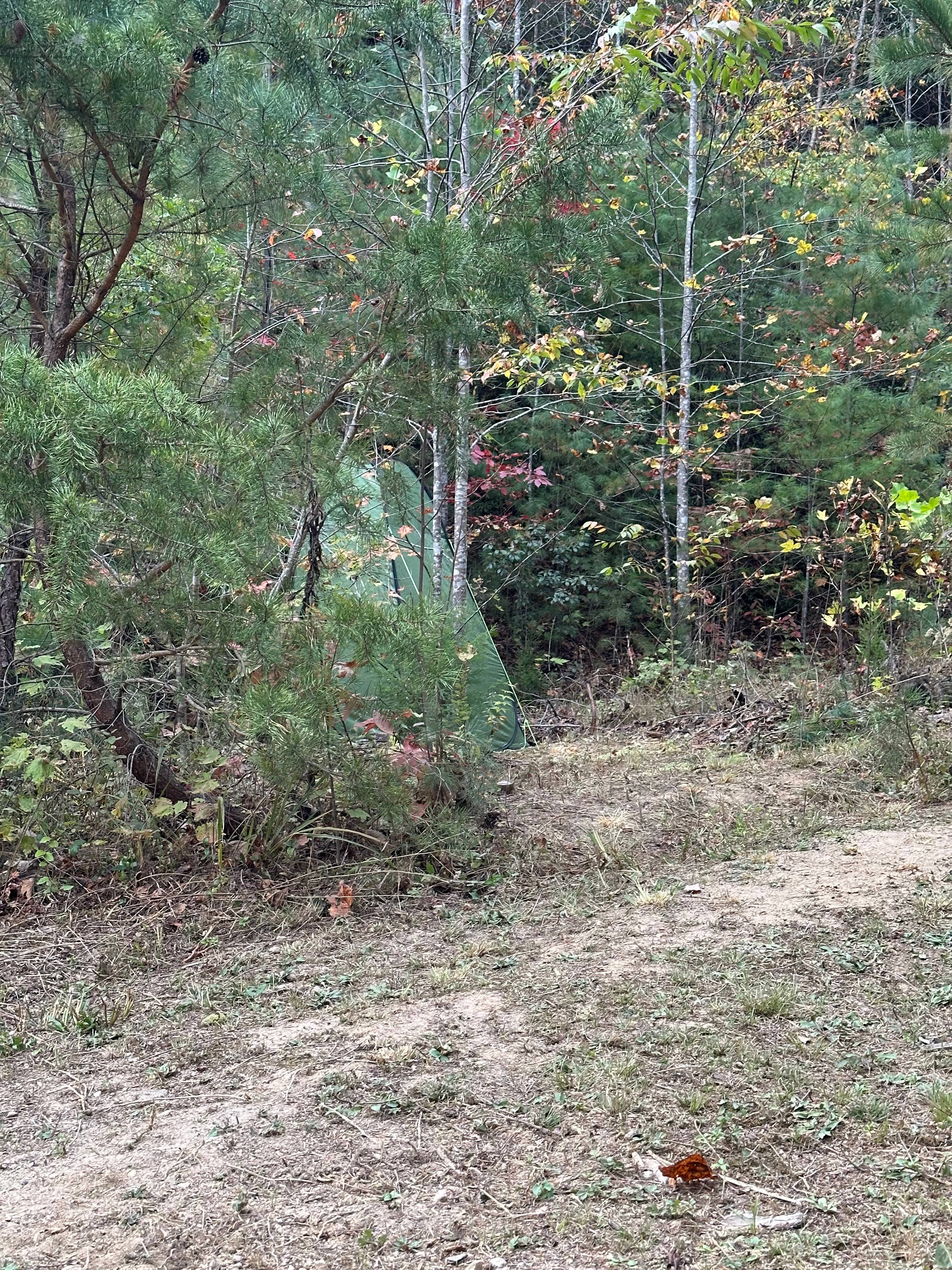 Moonlight Meadow Camping