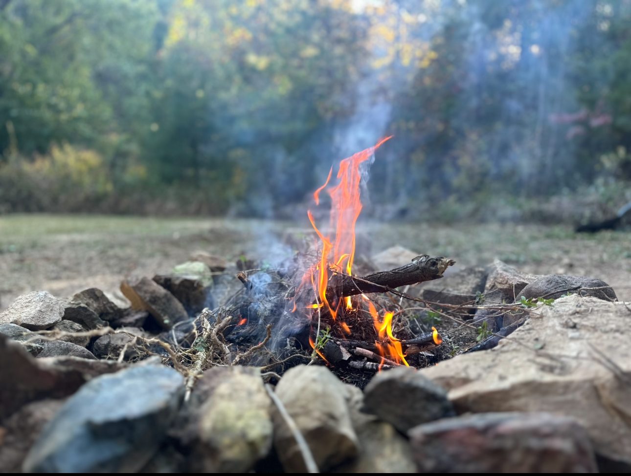 Moonlight Meadow Camping
