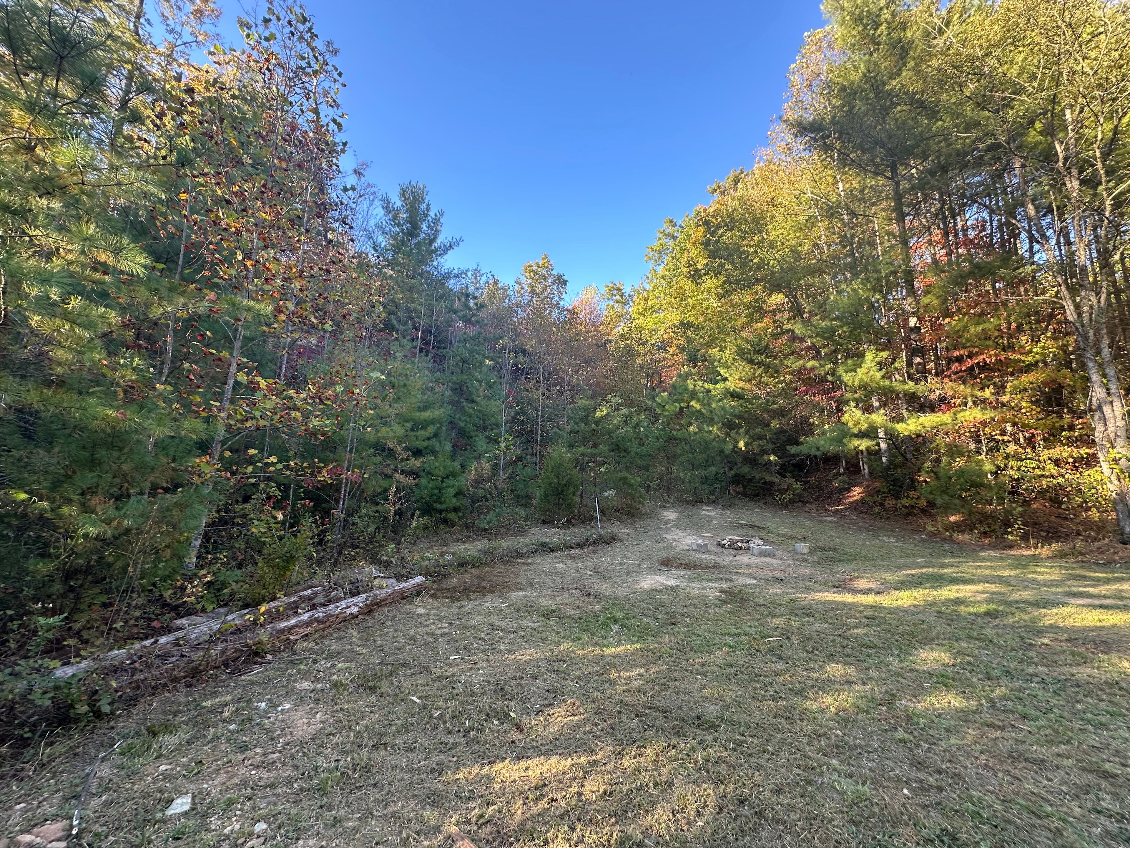 Moonlight Meadow Camping