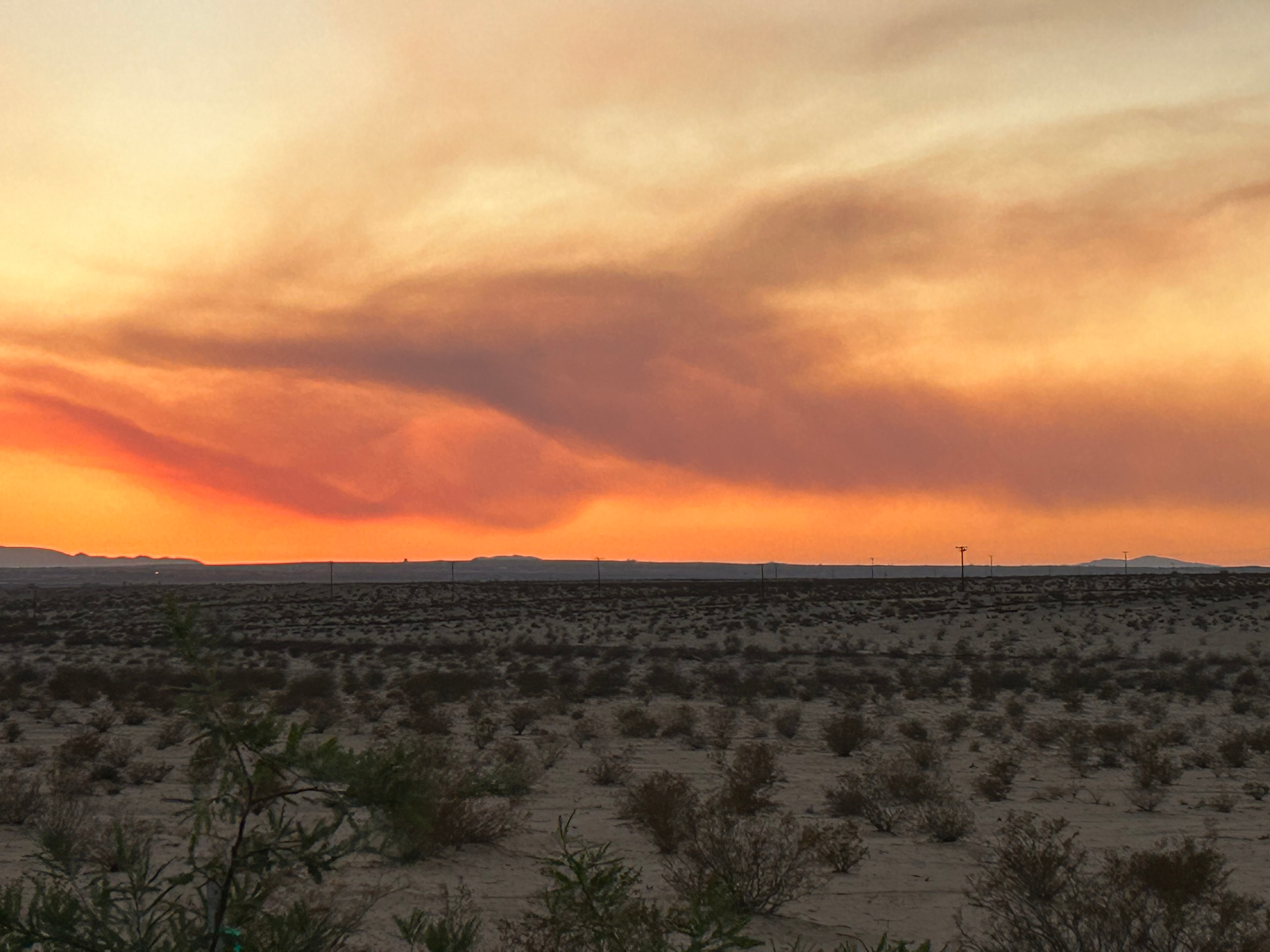 40 Acres Of Open Desert Oasis