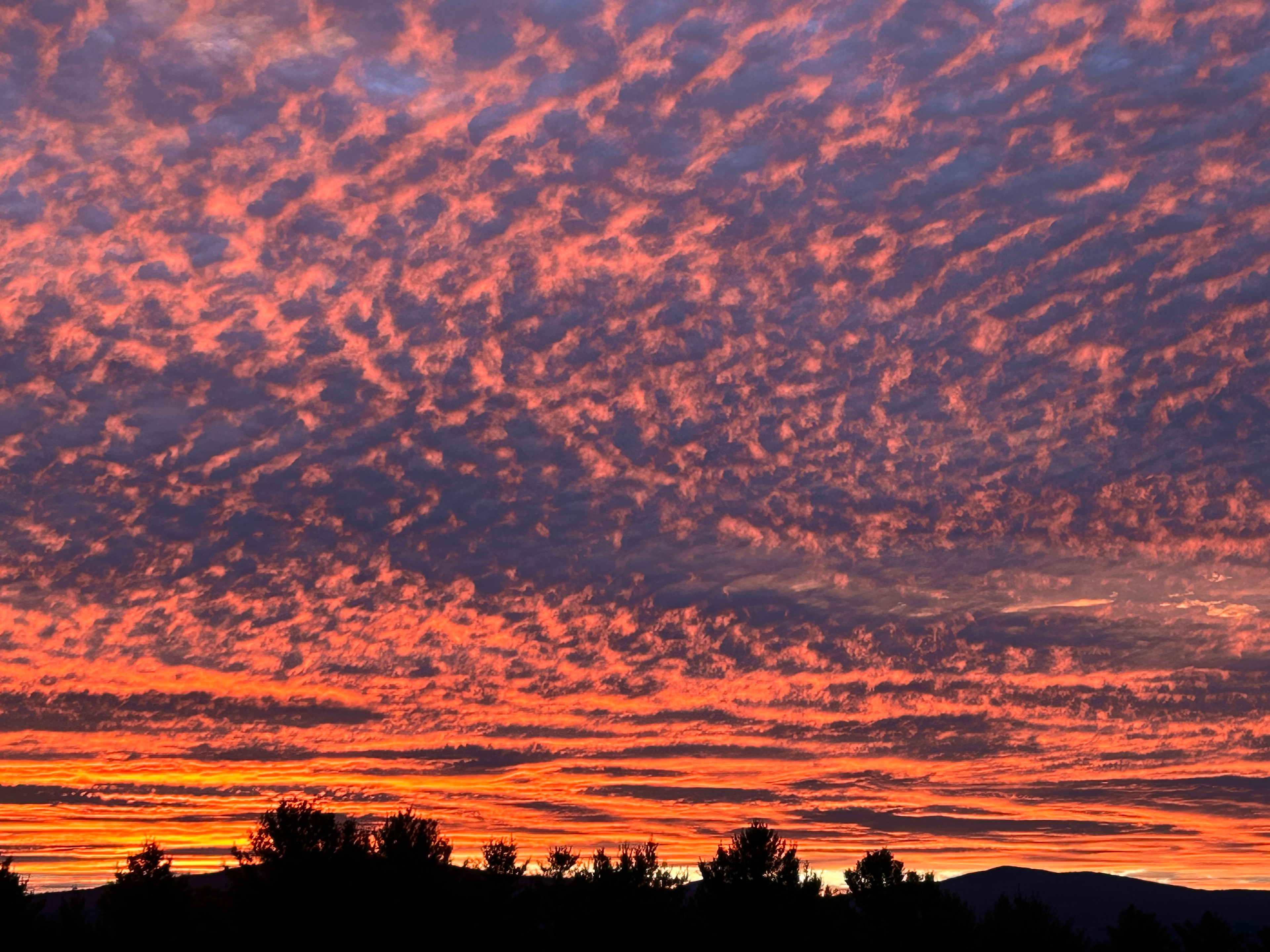 Peaceful Country Haven