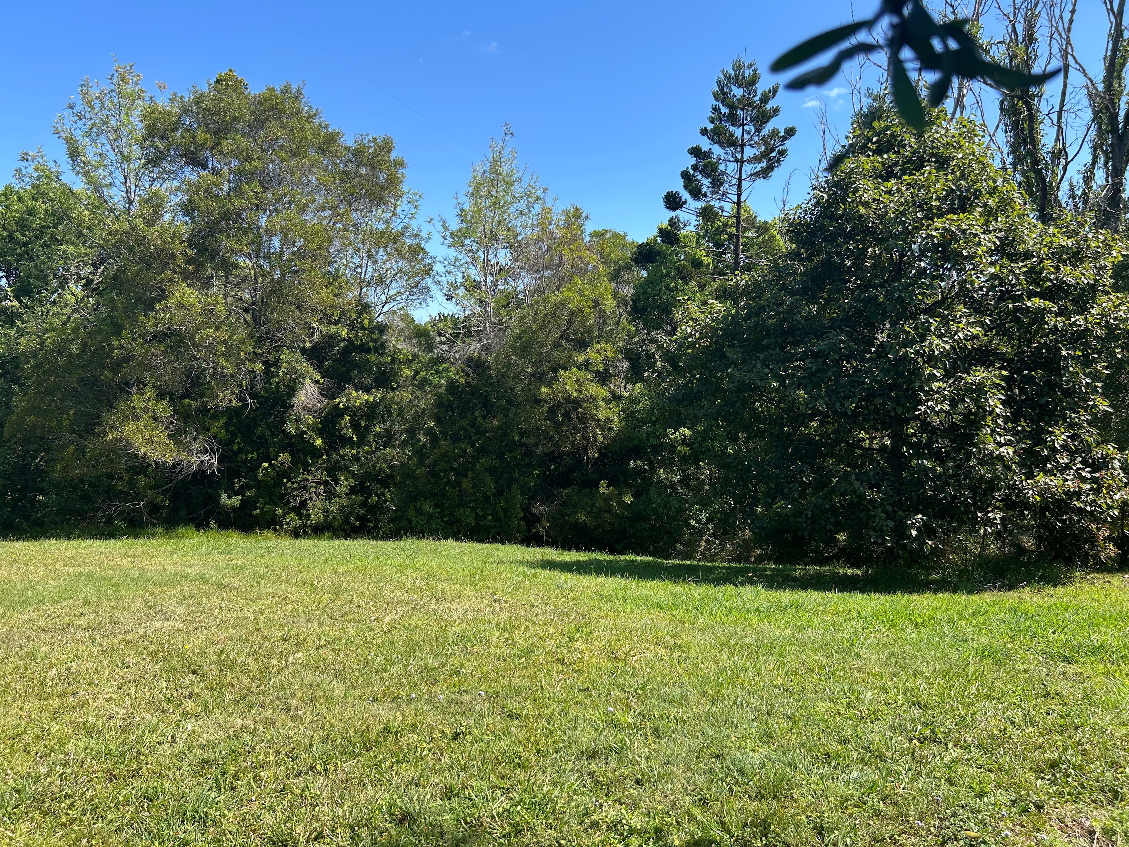 Noosa Hinterland Stayz