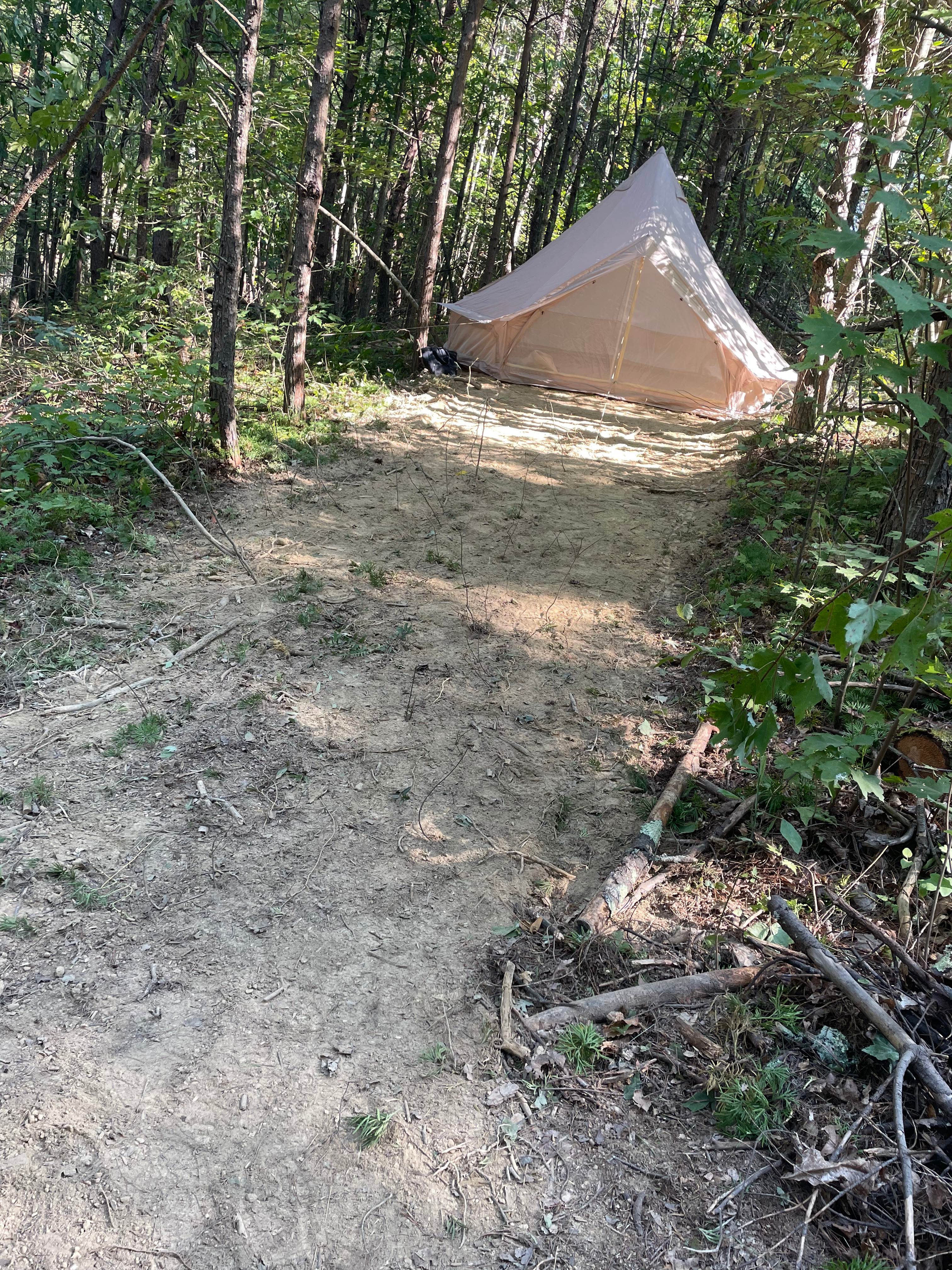 Nickell Ridge Homestead