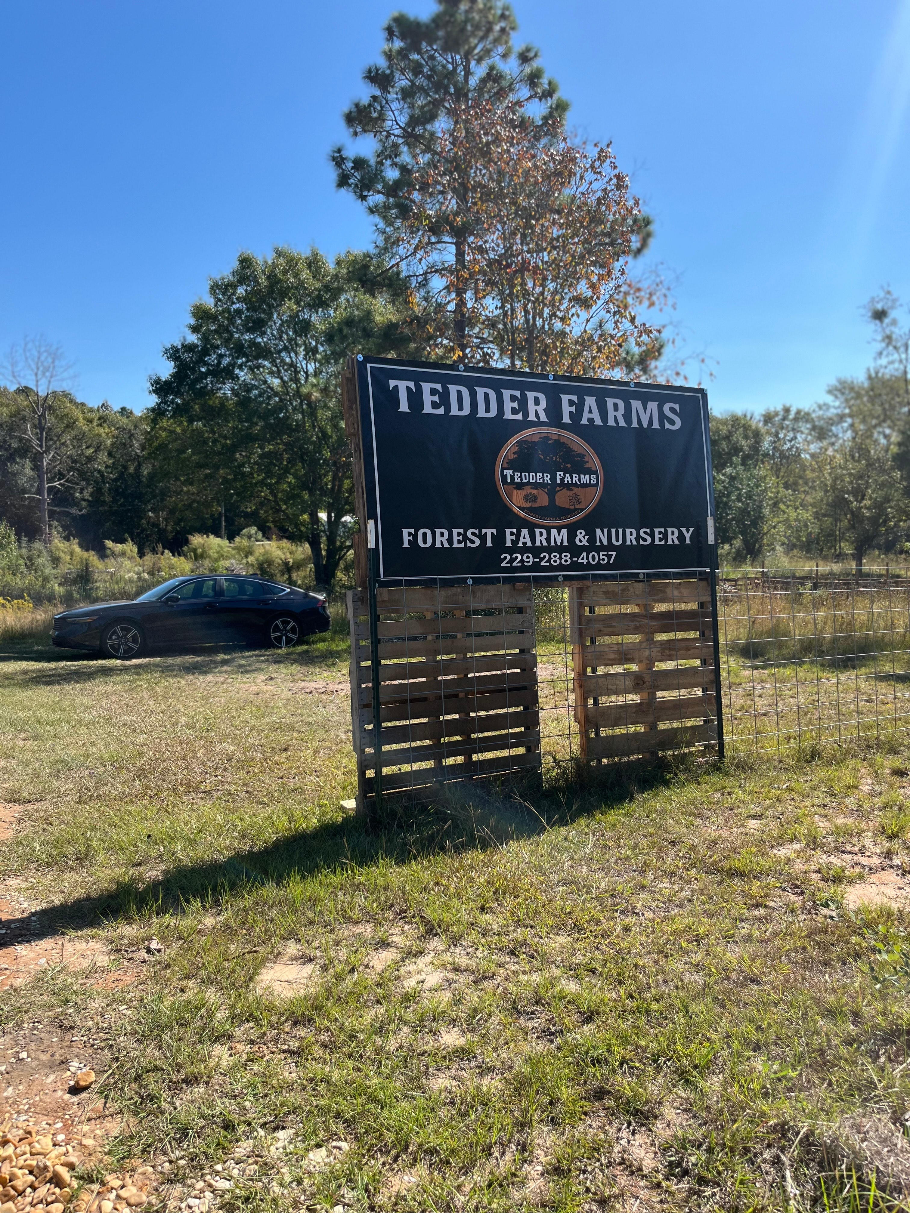 Tedder Farms Primitive Camping