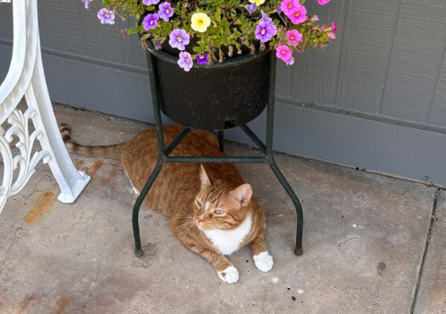 All Seasons Campground-Wichita