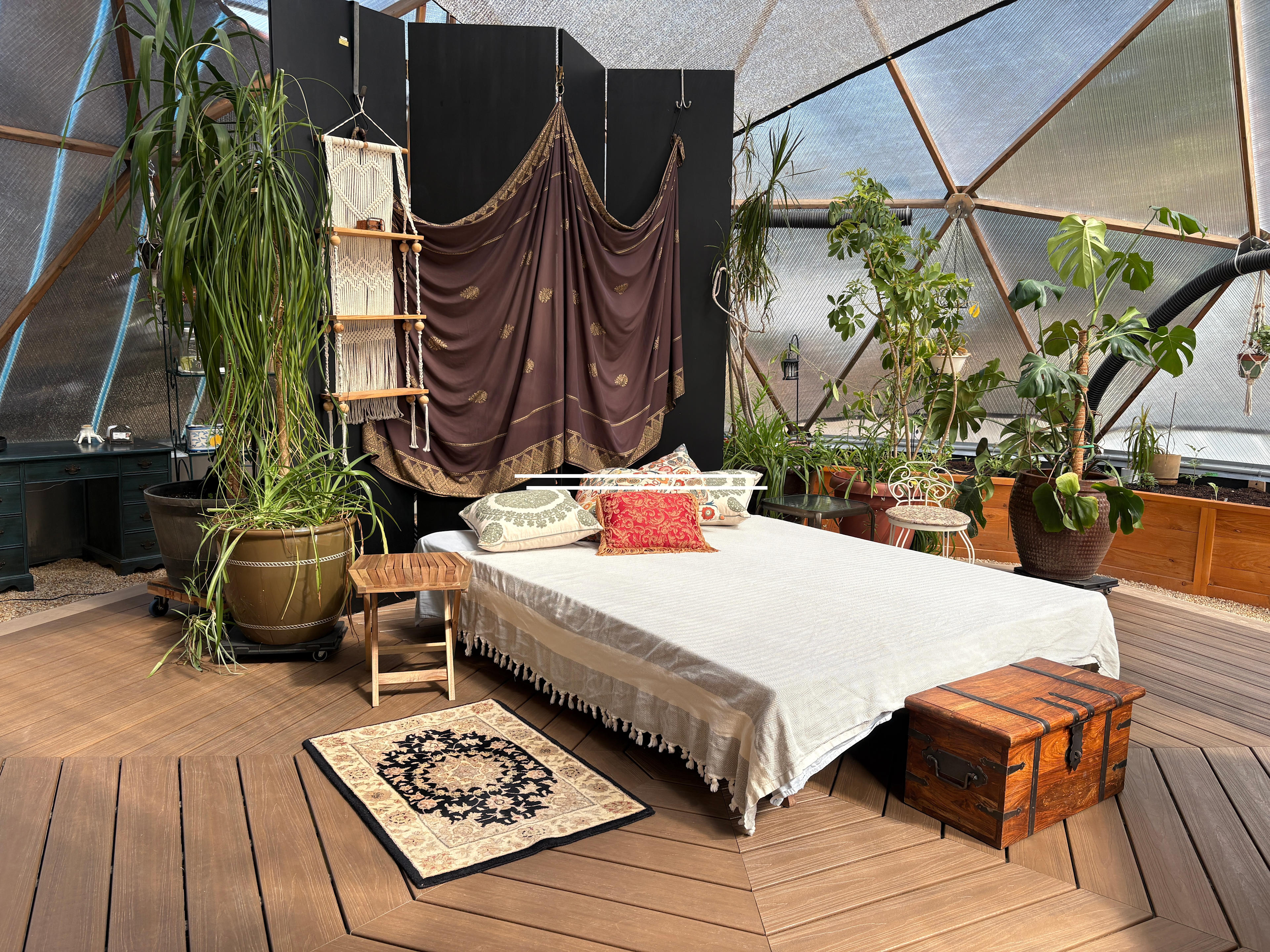 Geodesic Dome Plant Therapy