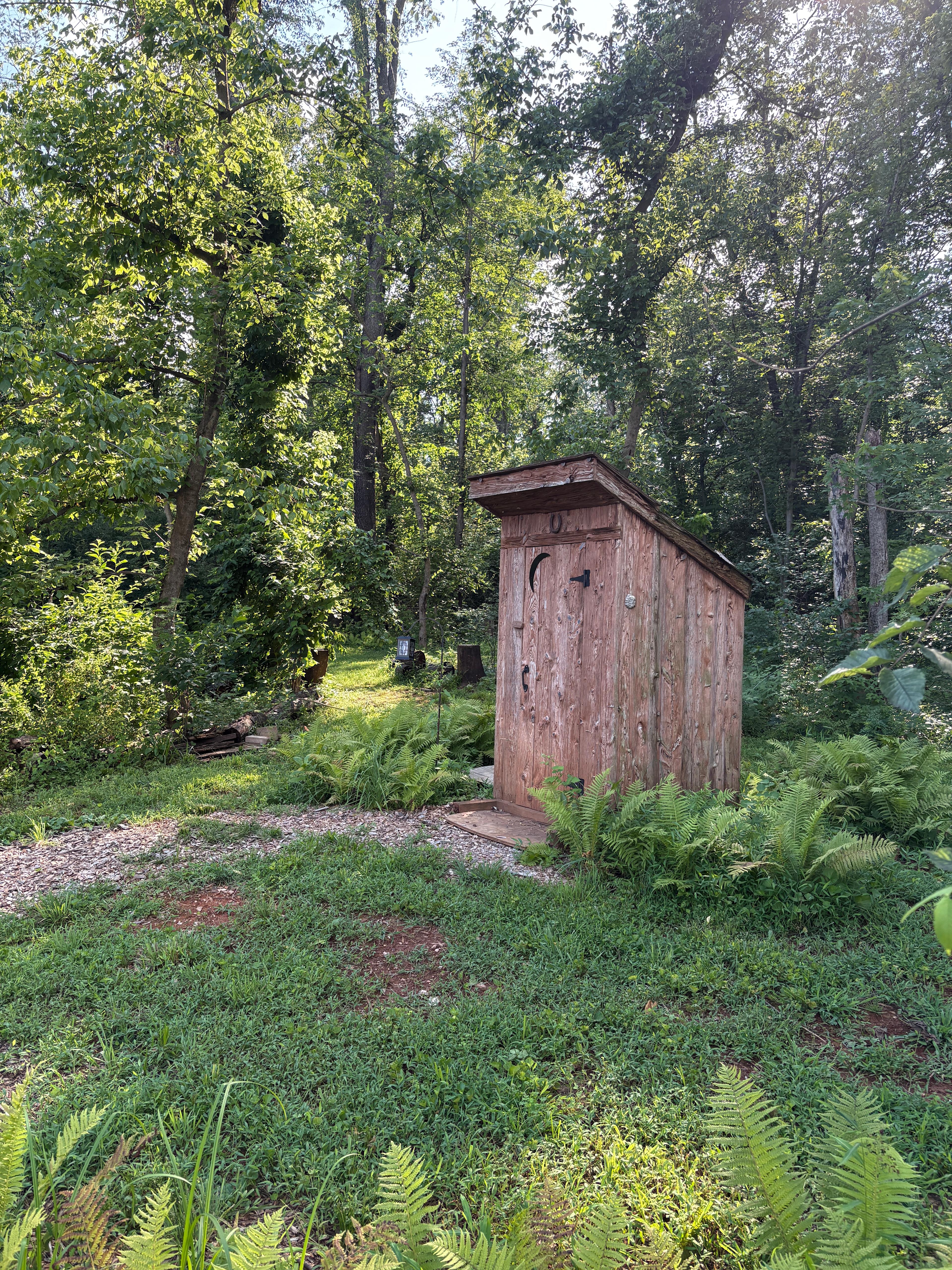 Geodesic Dome Plant Therapy