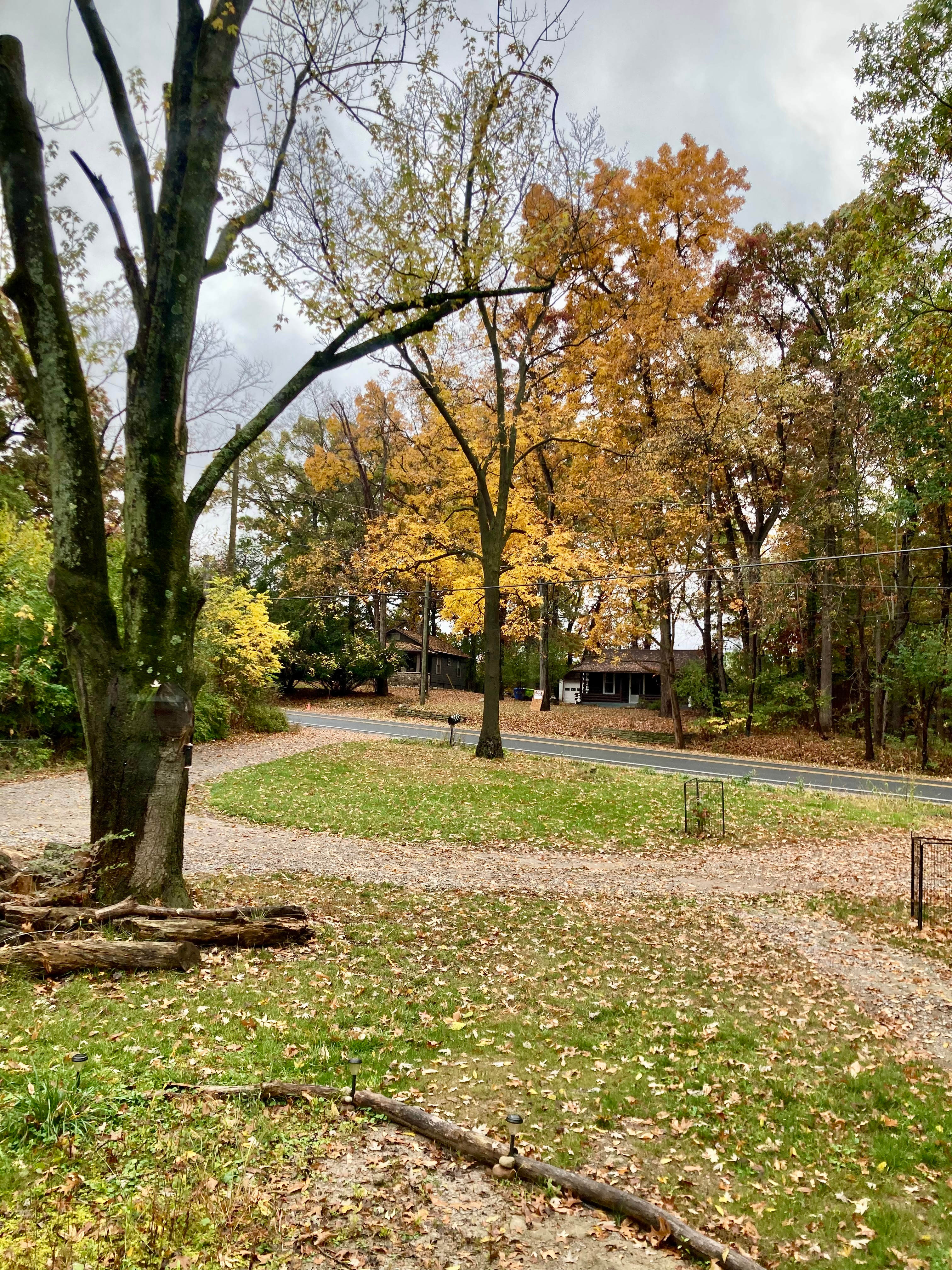 The neighborhood in fall.