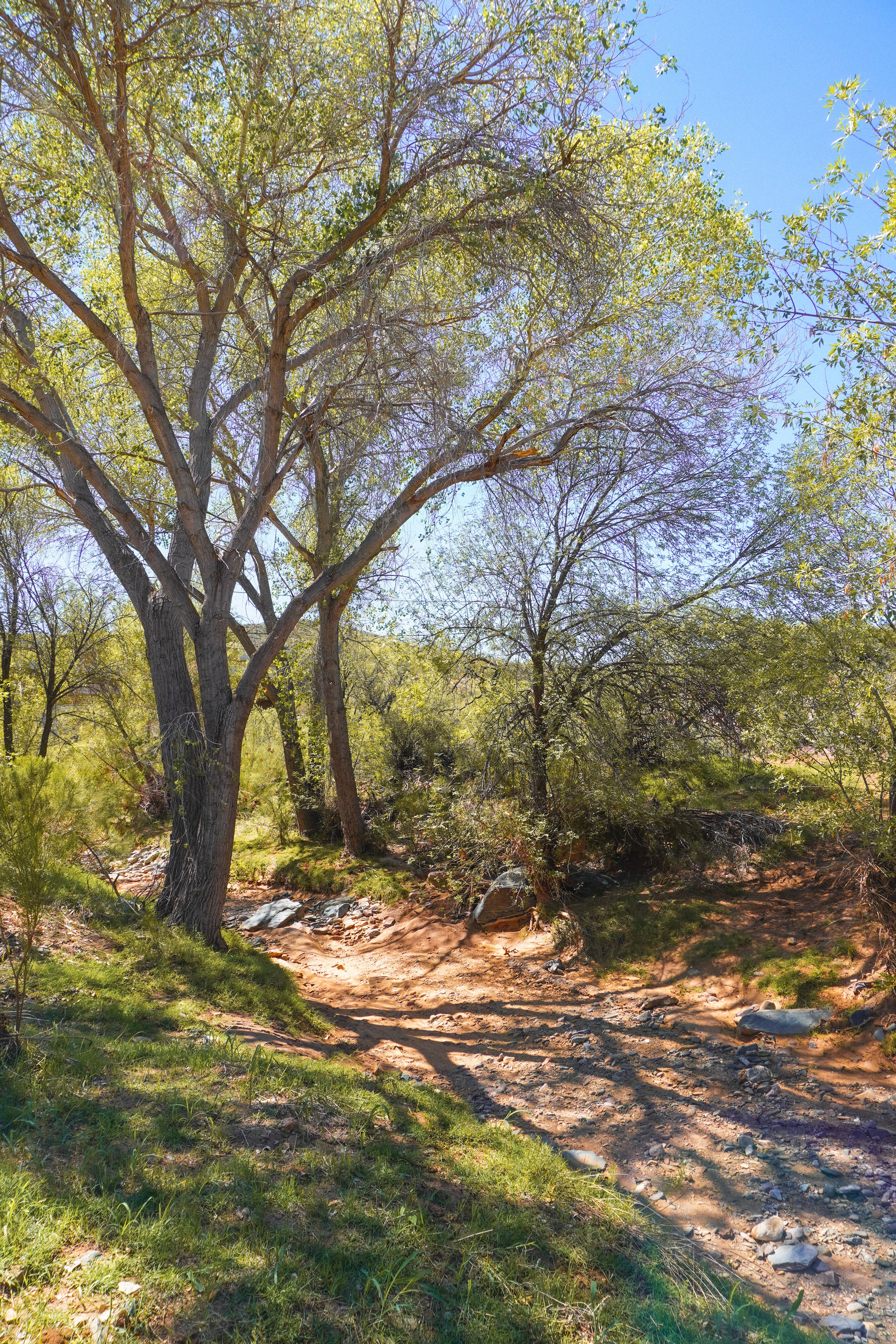 Creekside Lodge and Cabins