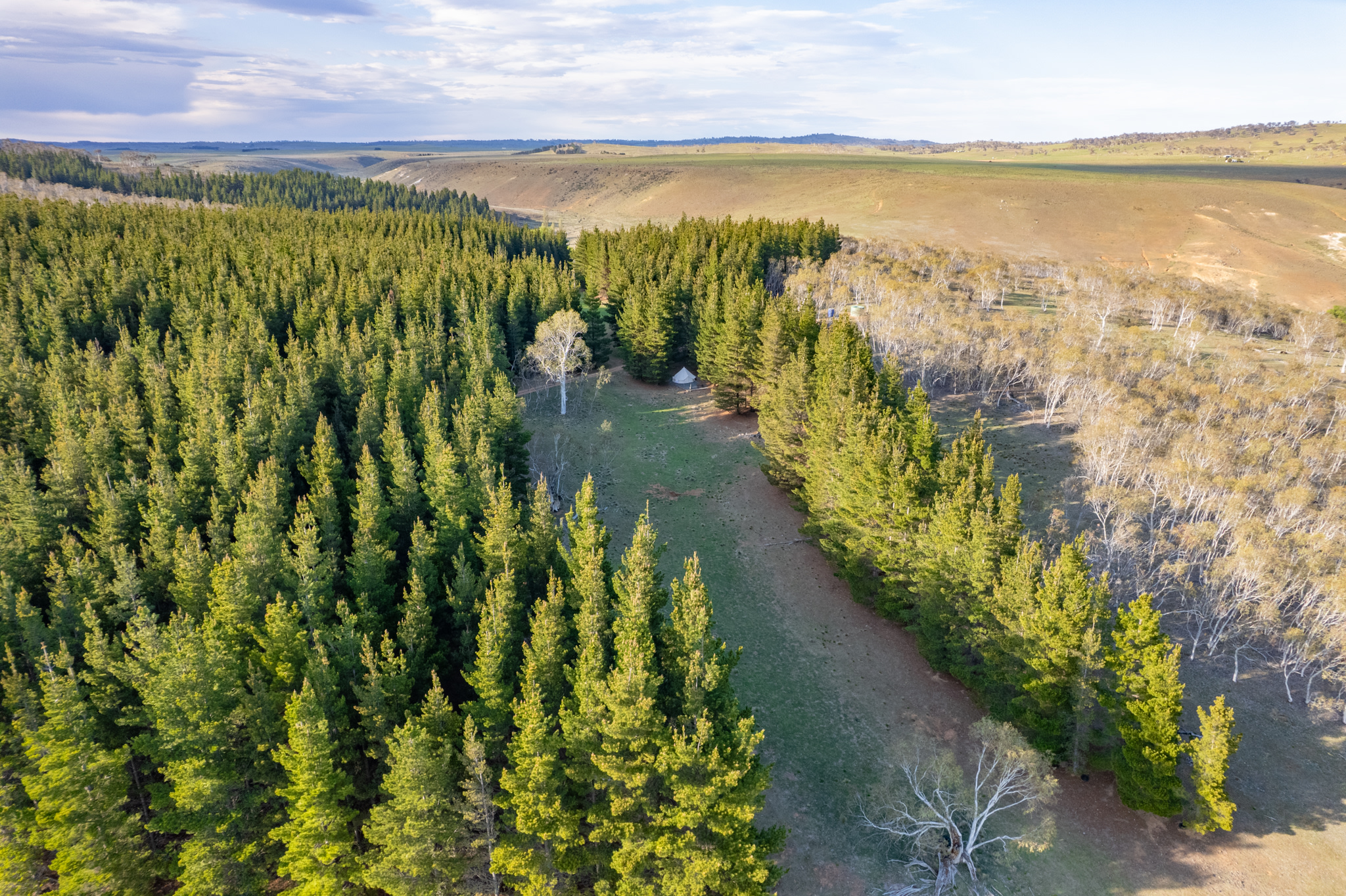 Wombat Pines - Glamping and Camping