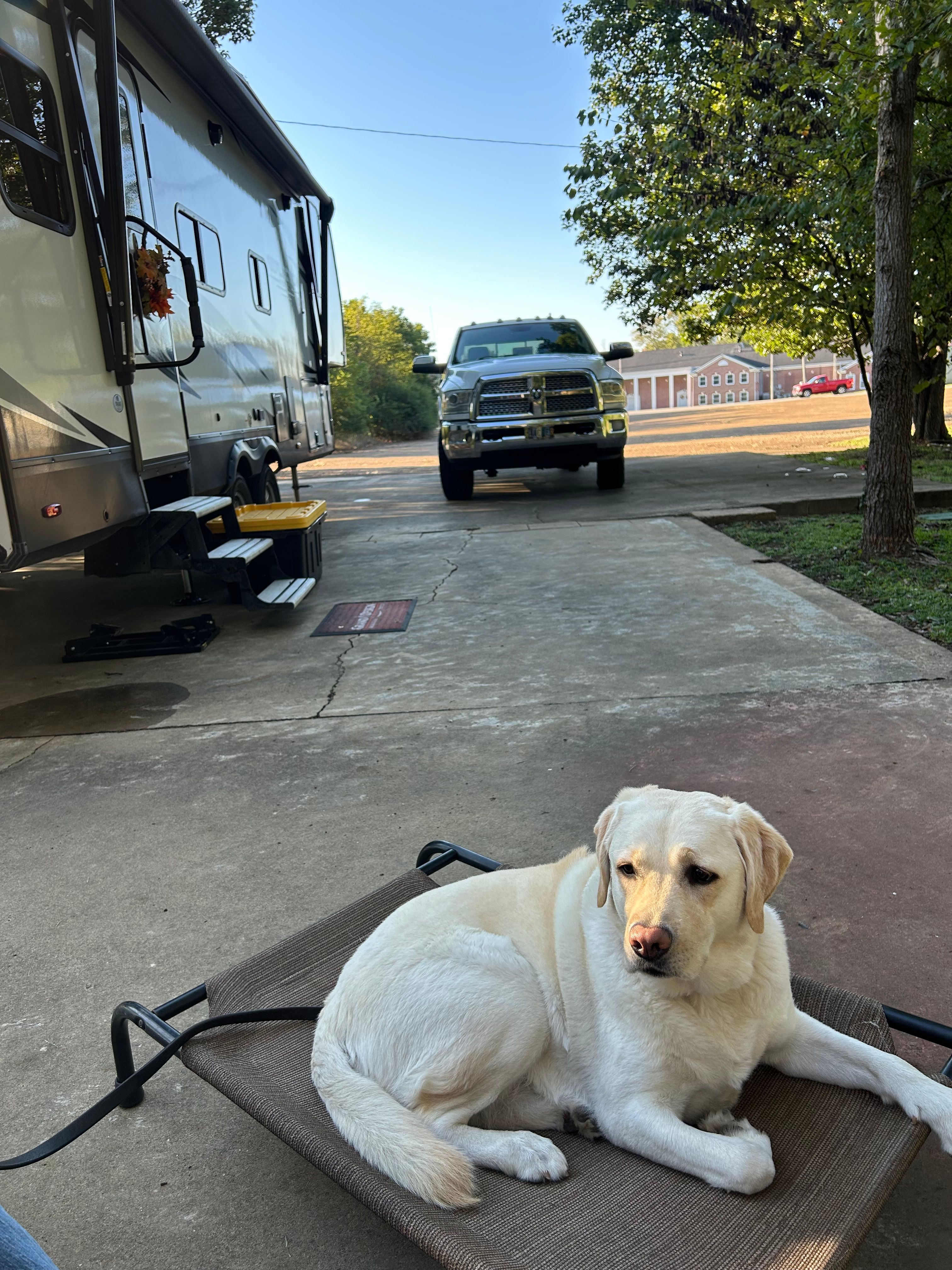 Covered Bridge Pavilion