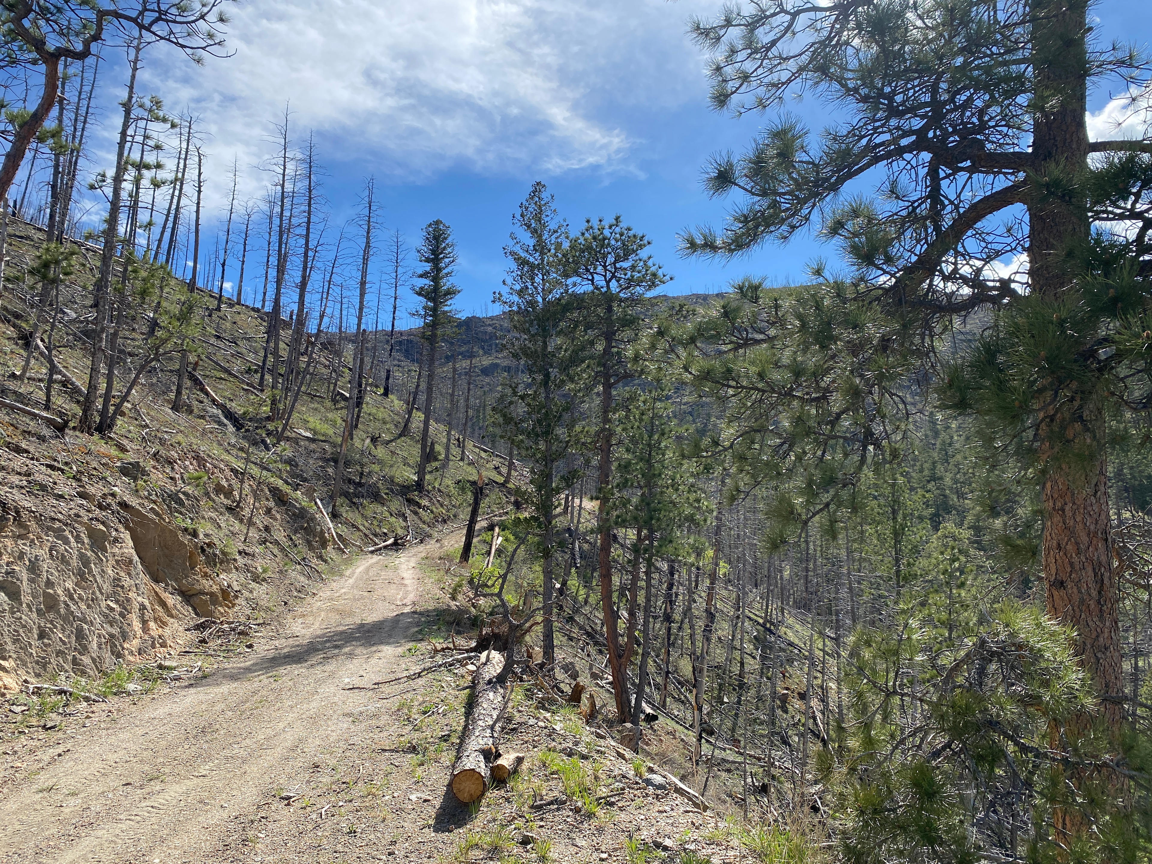 King’s Canyon