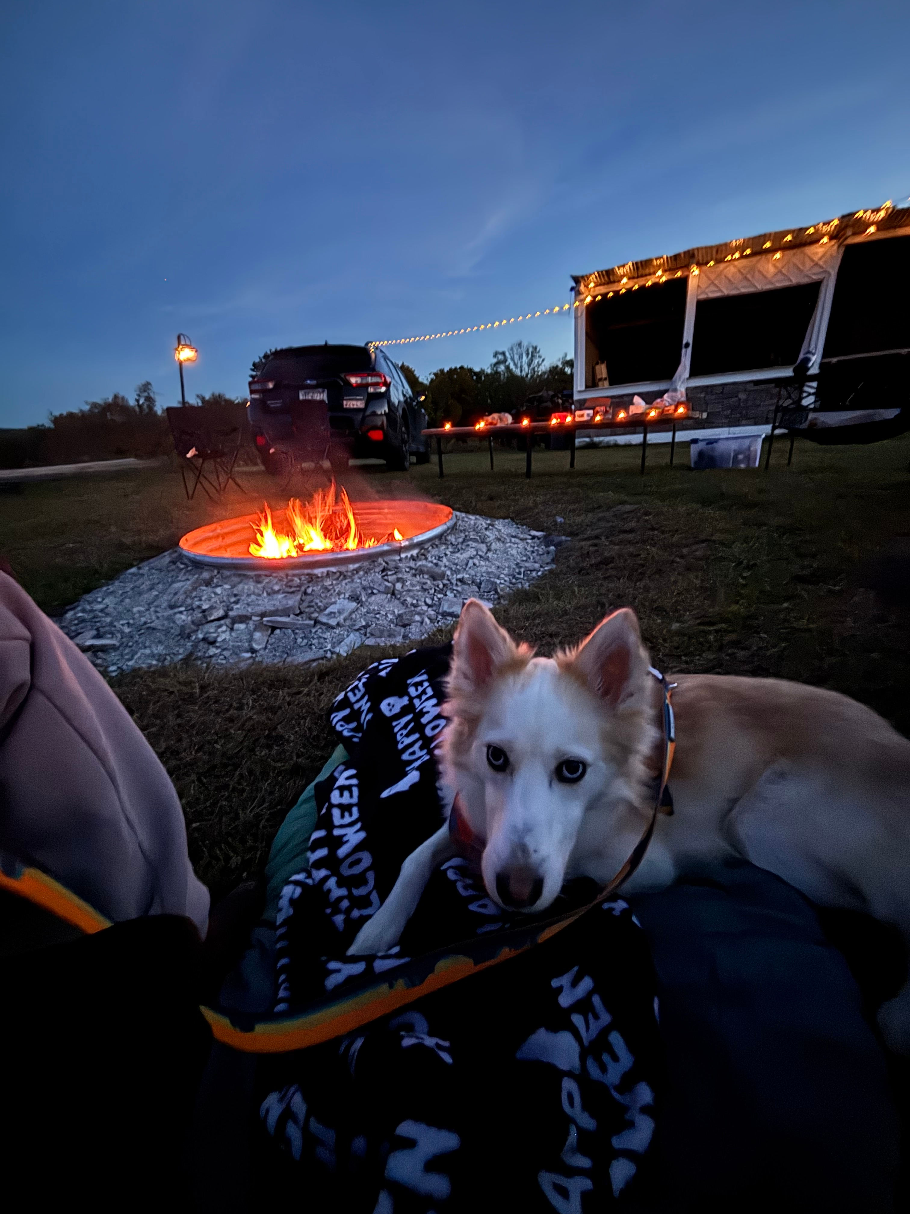 Laurel Highlands Cannabis