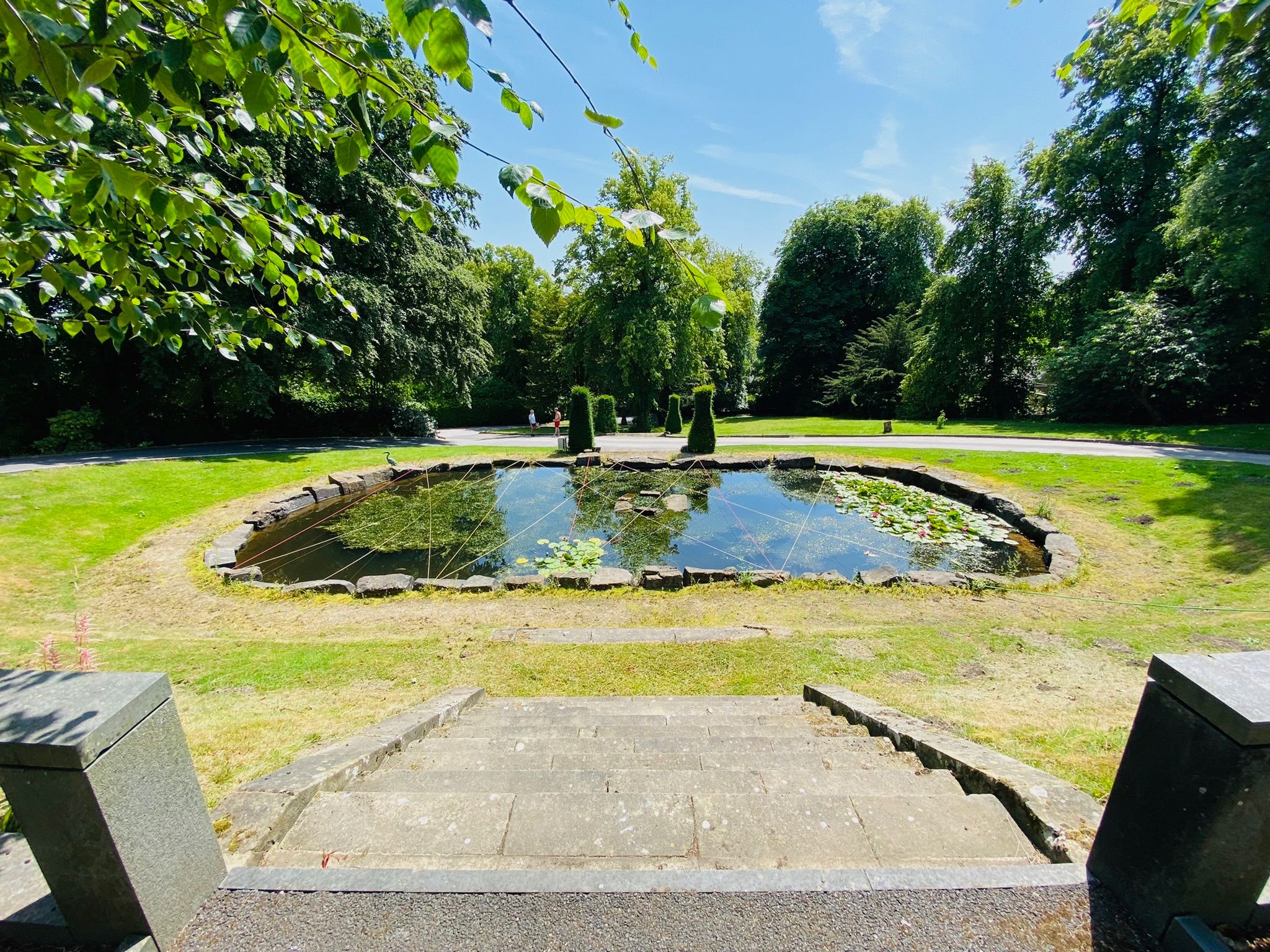 The Duchess's Meadow