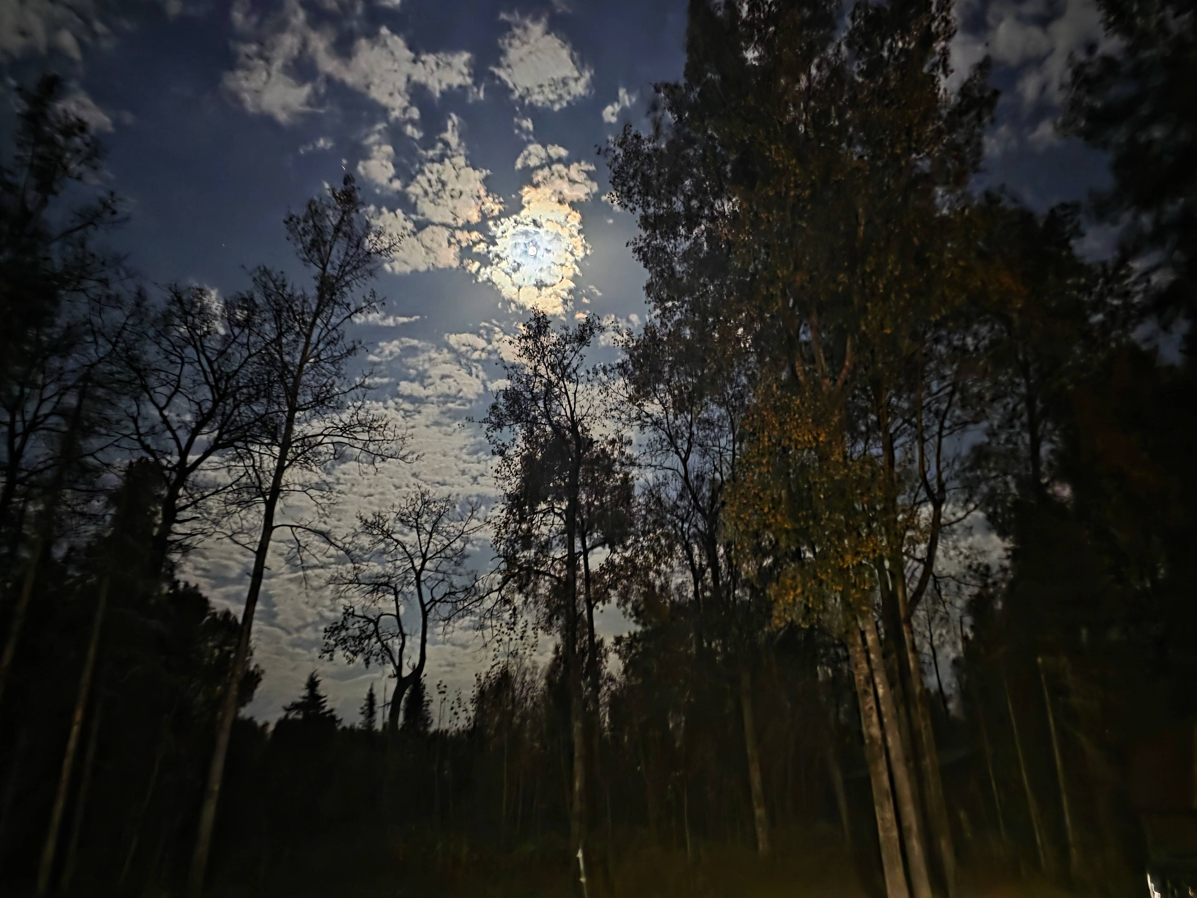 Kick Back Tiny Shack