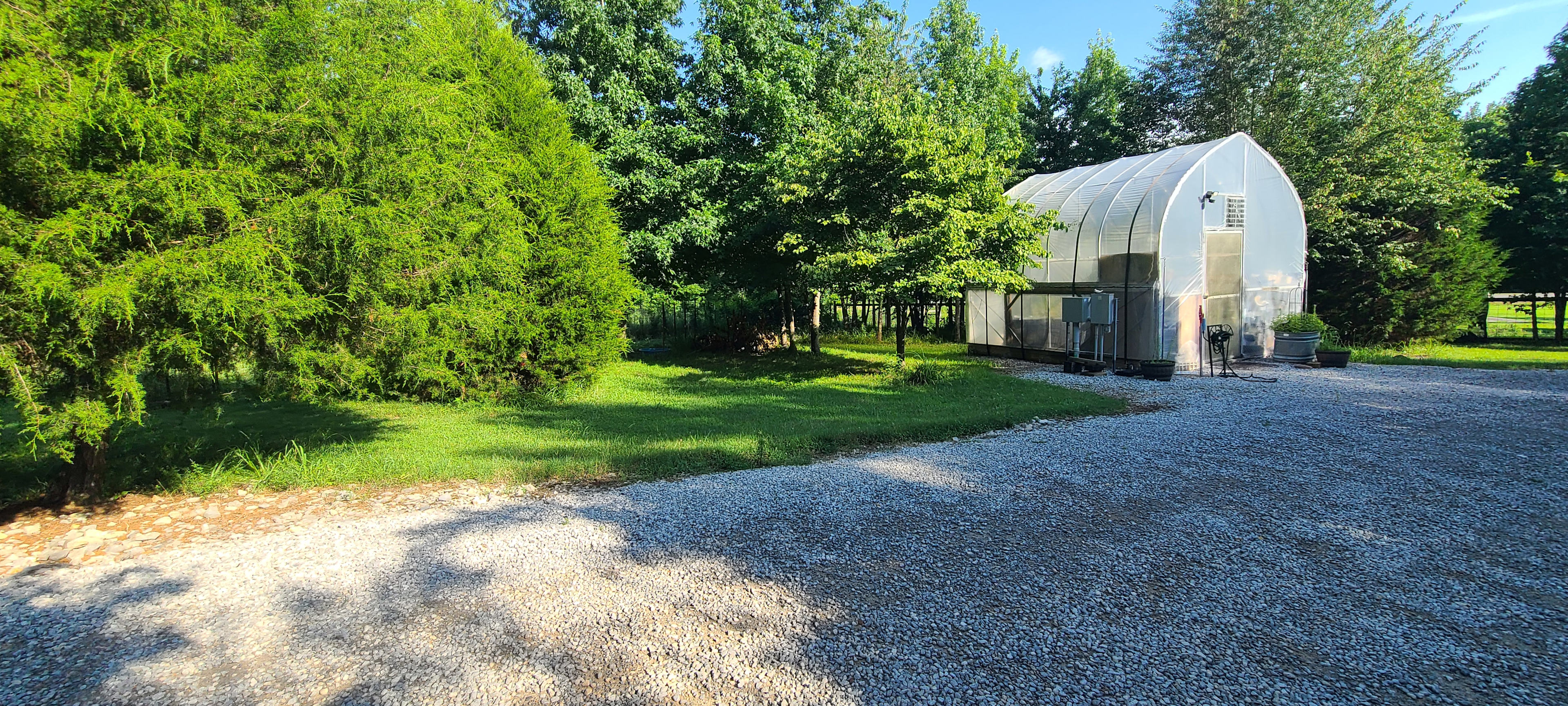 This is our greenhouse which sits across the driveway from your RV parking spot. 