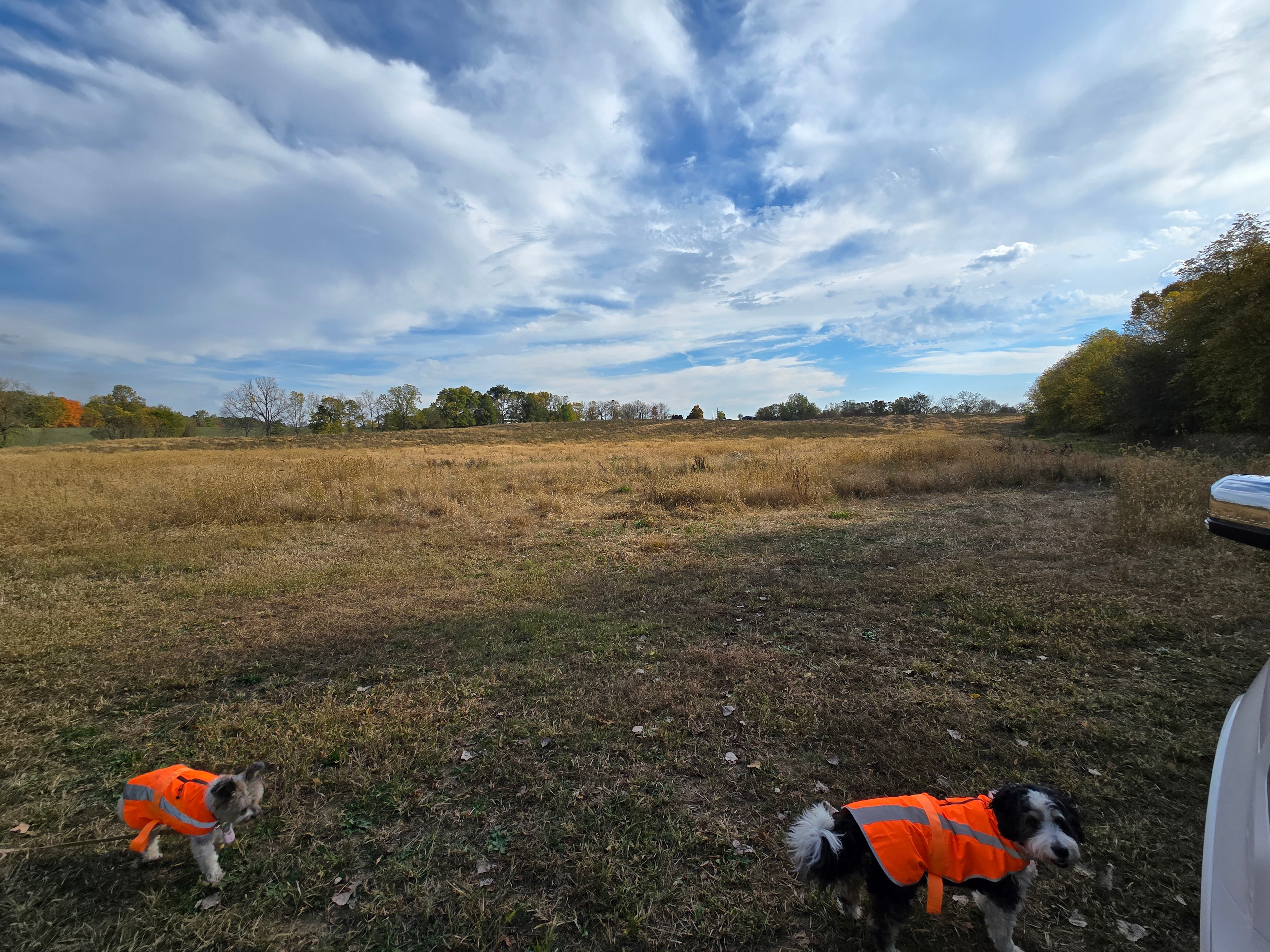 Backwoods River Camp WFBranch StJoe