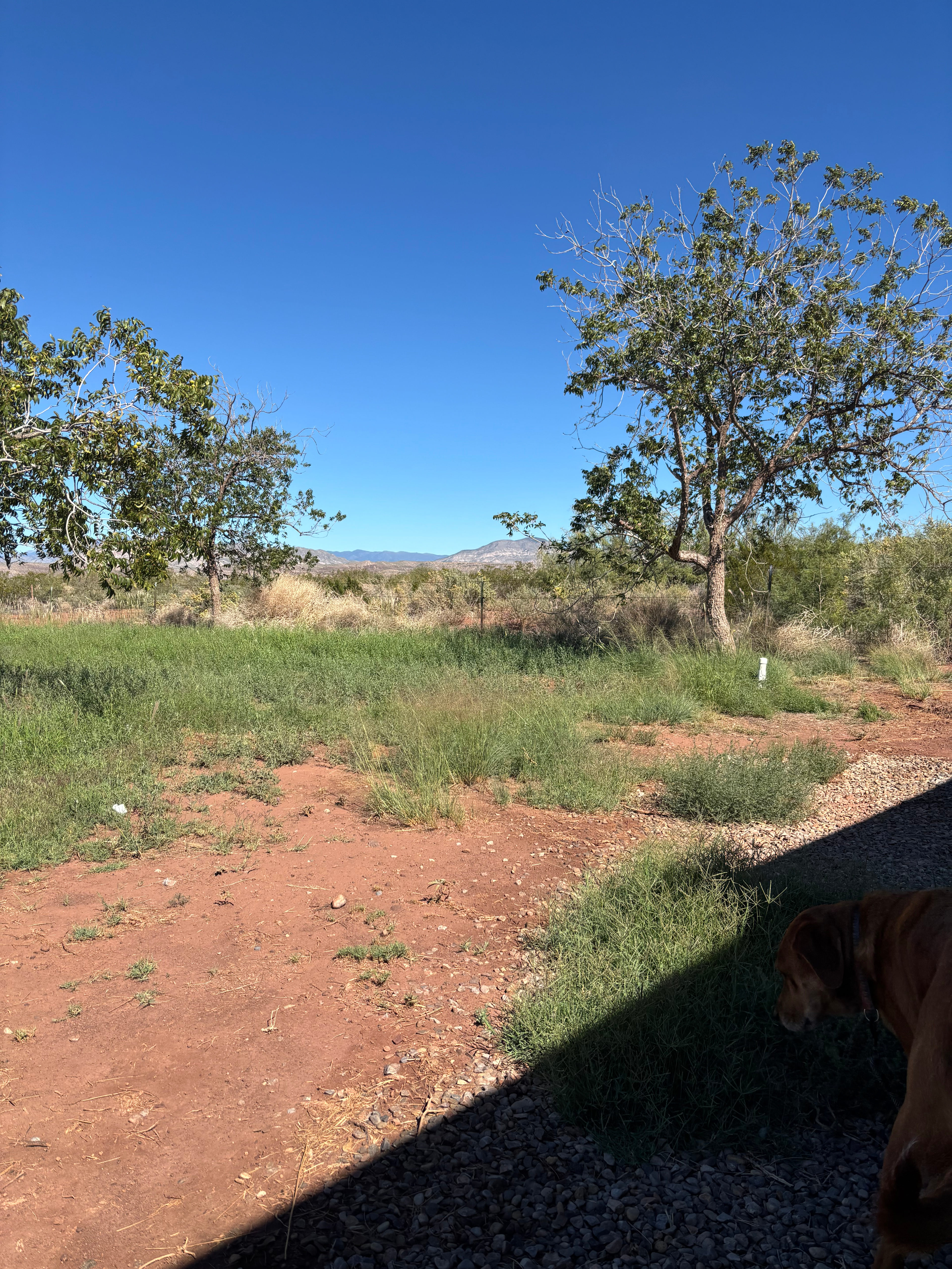 Tularosa Vineyards & Winery