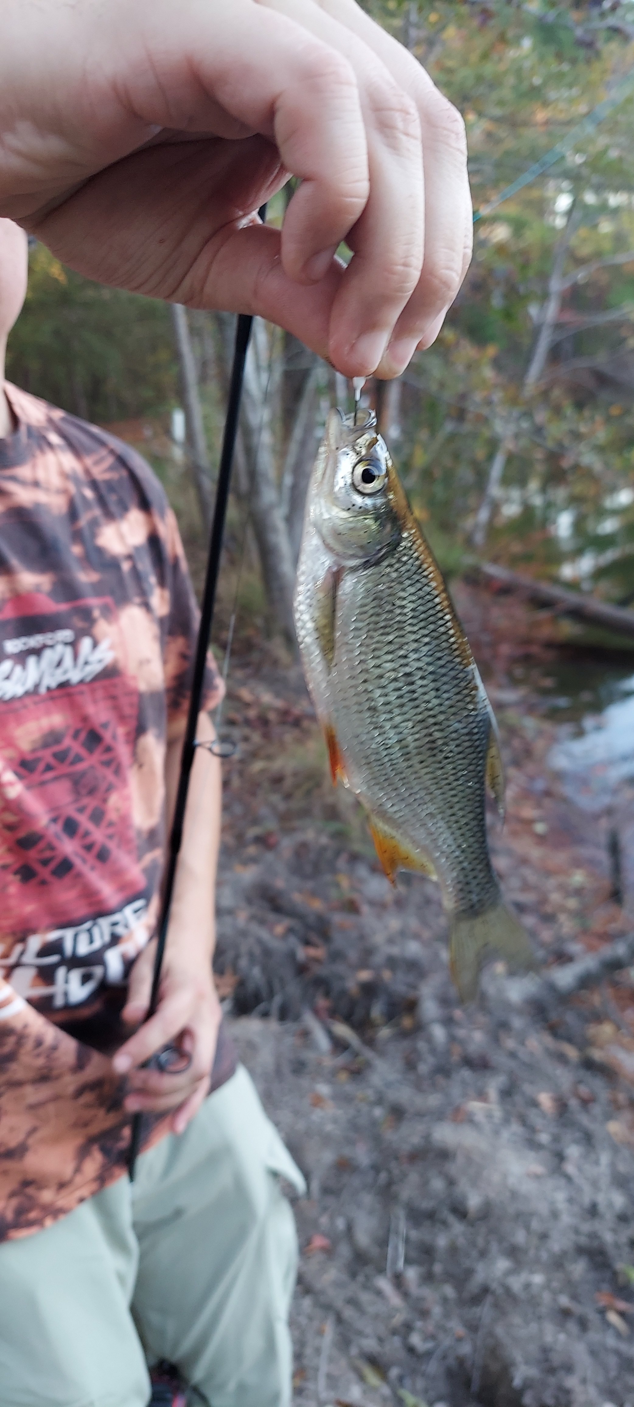 Scott’s Lakeview Camp and Park