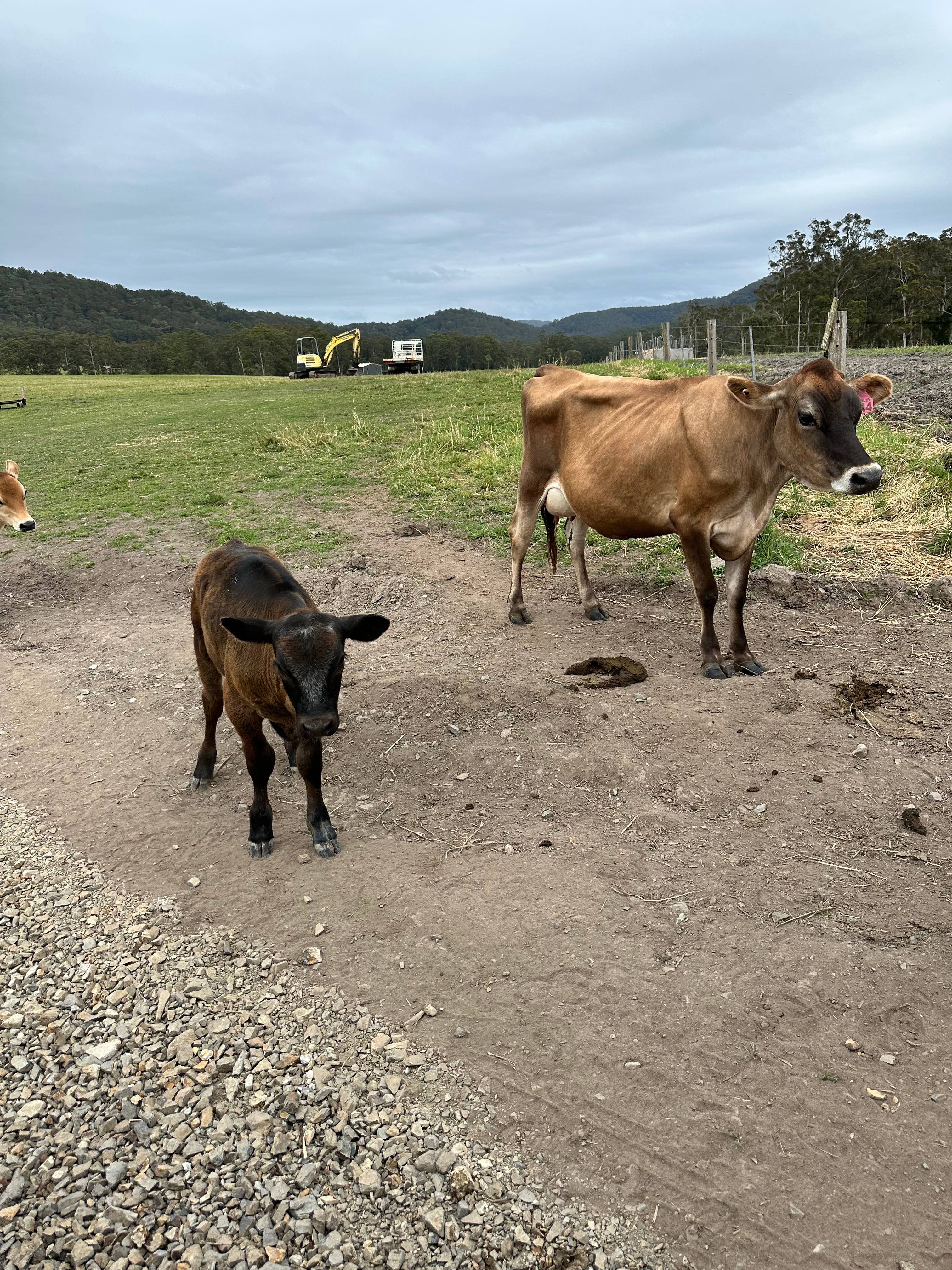 Luckystars Sanctuary