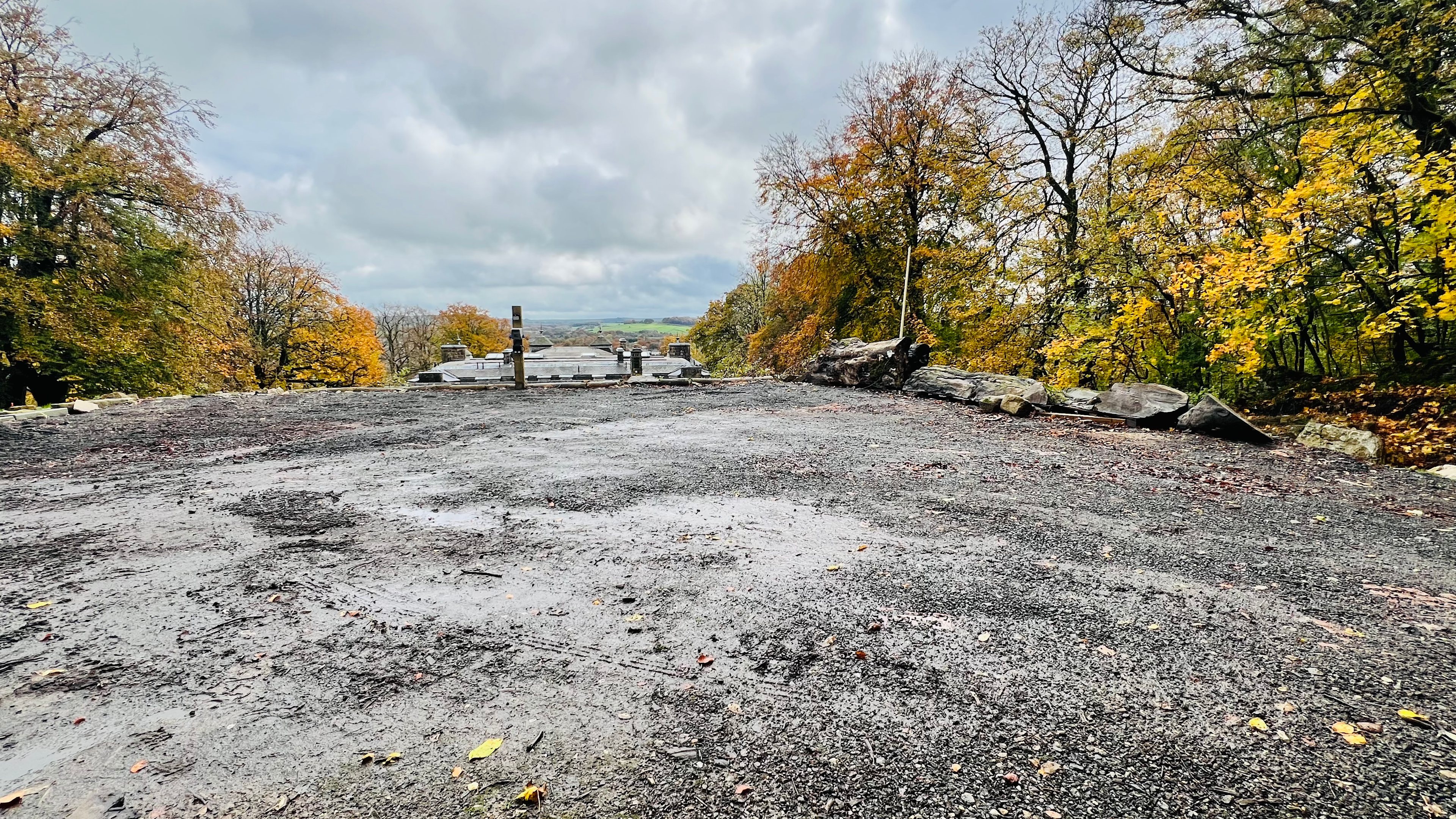 The Duchess's Meadow